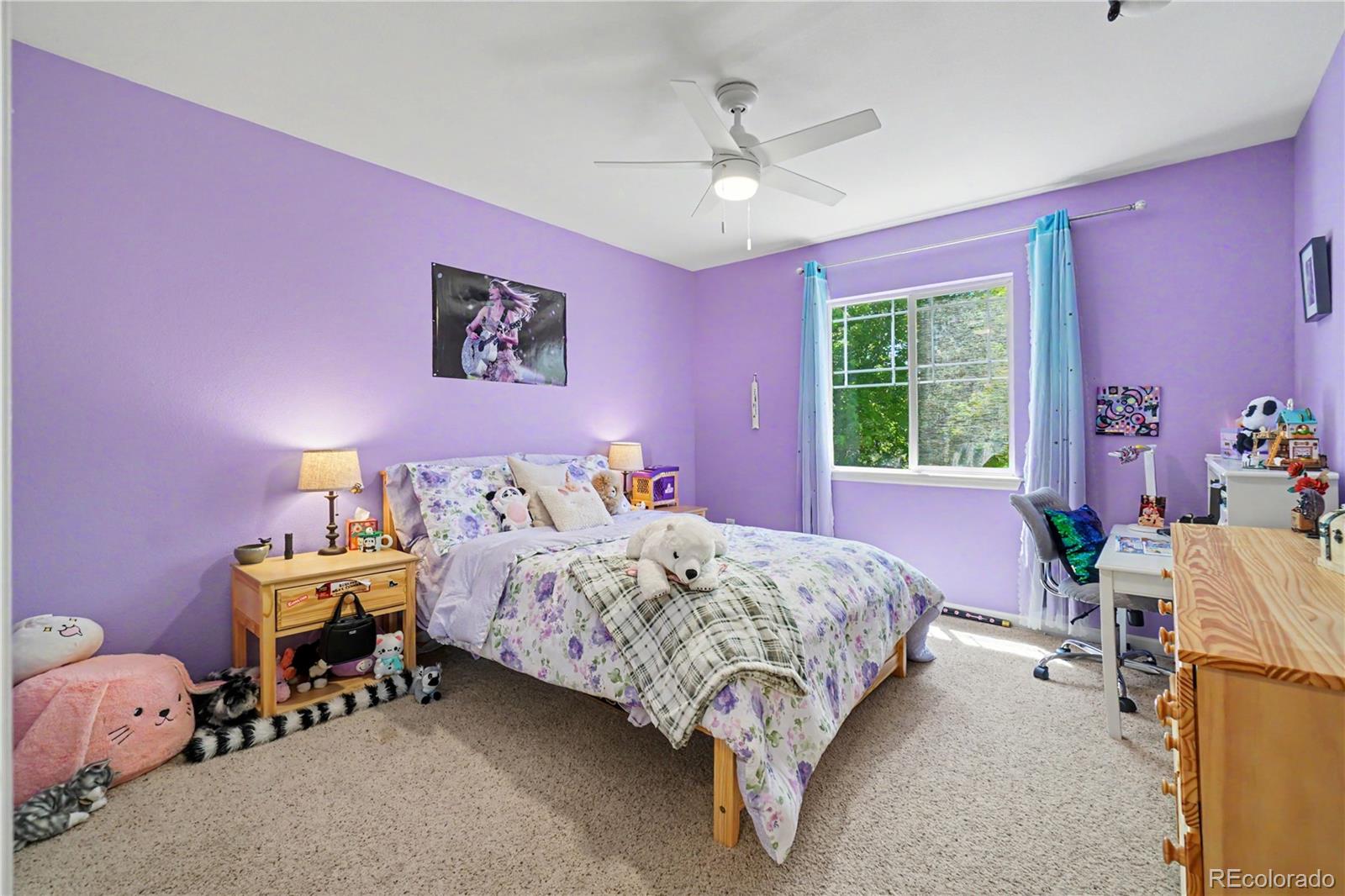 MLS Image #25 for 4207  frederick circle,longmont, Colorado