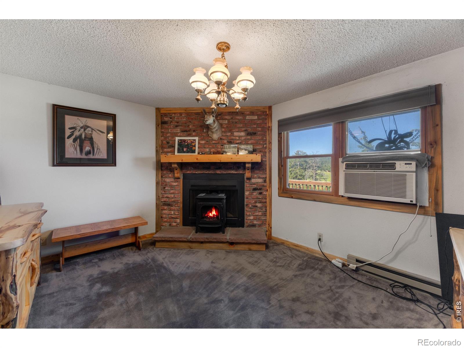 MLS Image #12 for 678  palisade mountain drive,drake, Colorado