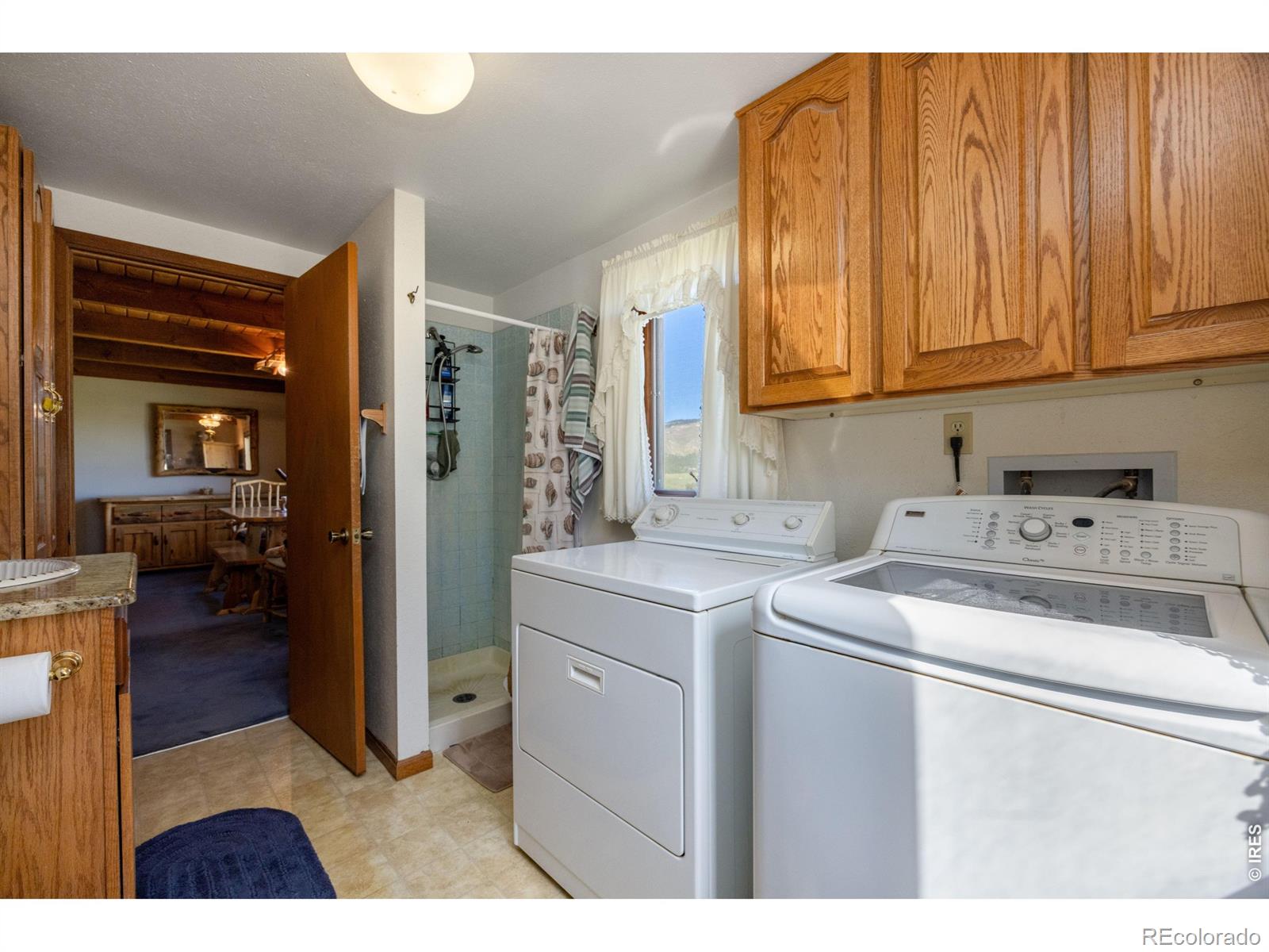 MLS Image #18 for 678  palisade mountain drive,drake, Colorado