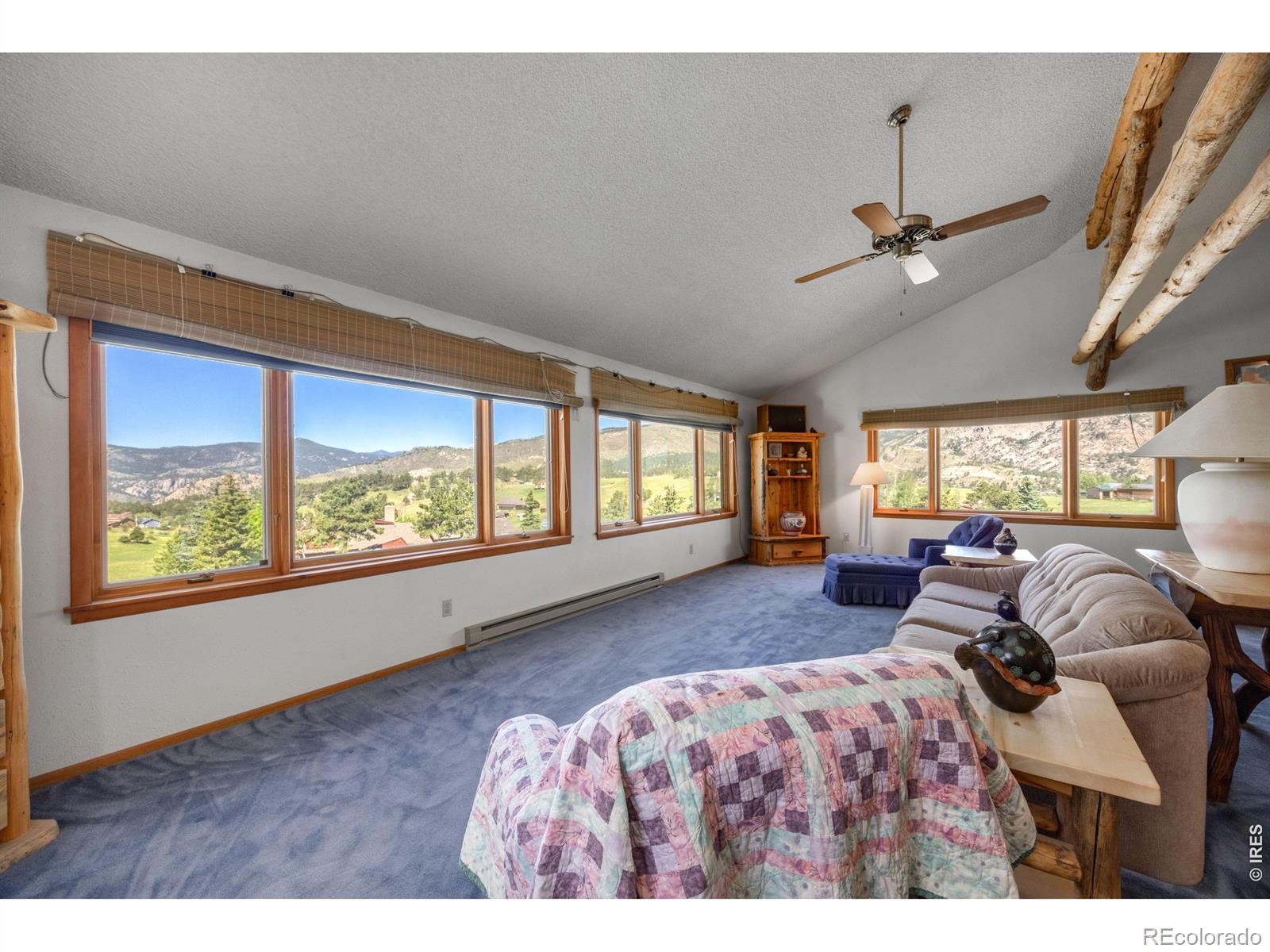MLS Image #19 for 678  palisade mountain drive,drake, Colorado