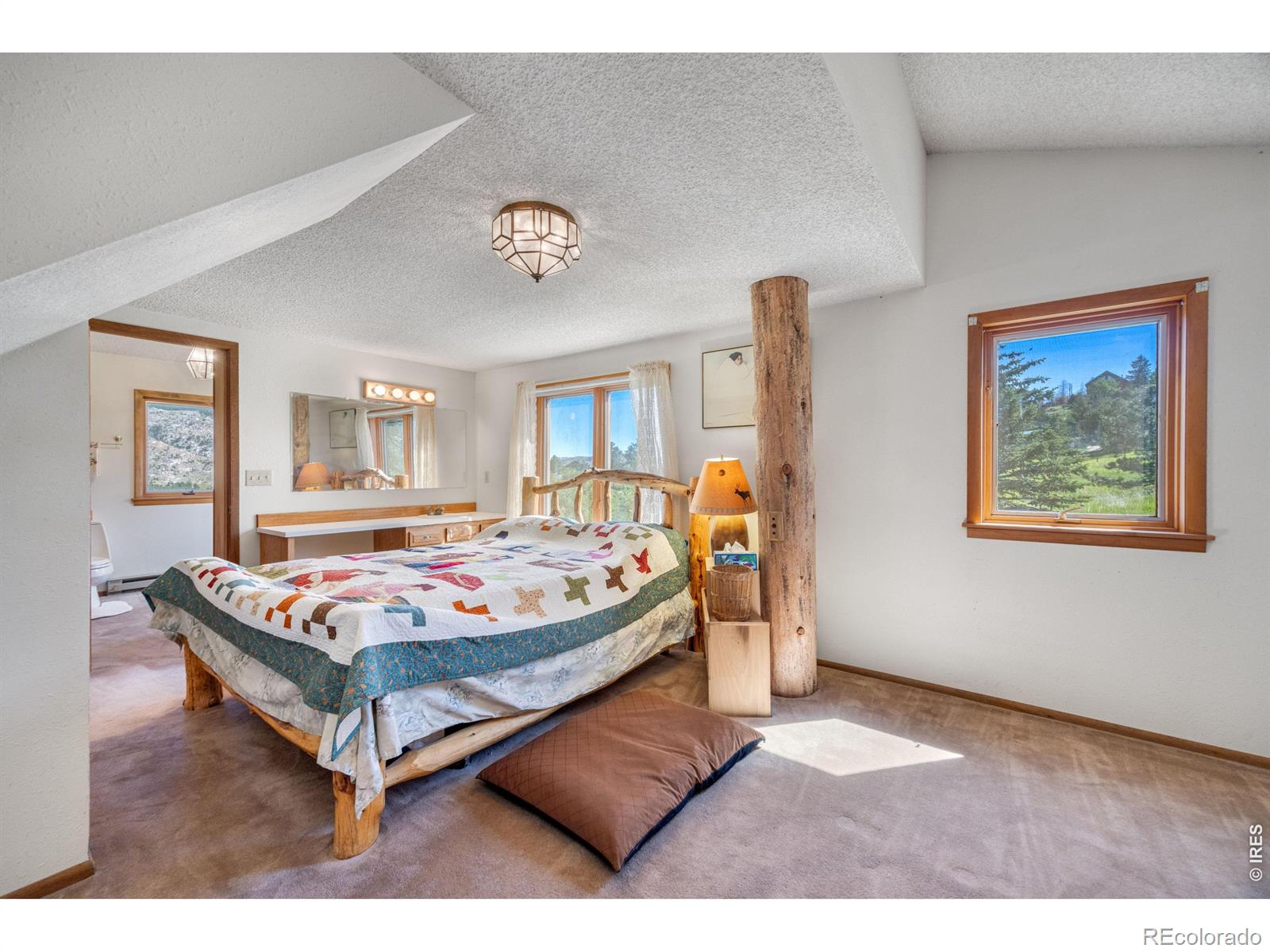 MLS Image #27 for 678  palisade mountain drive,drake, Colorado