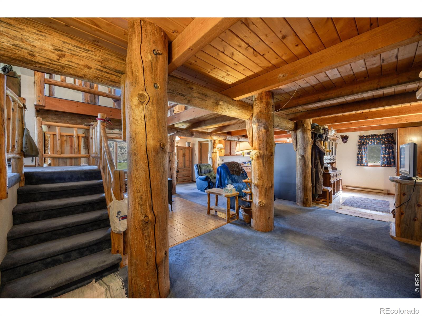 MLS Image #3 for 678  palisade mountain drive,drake, Colorado