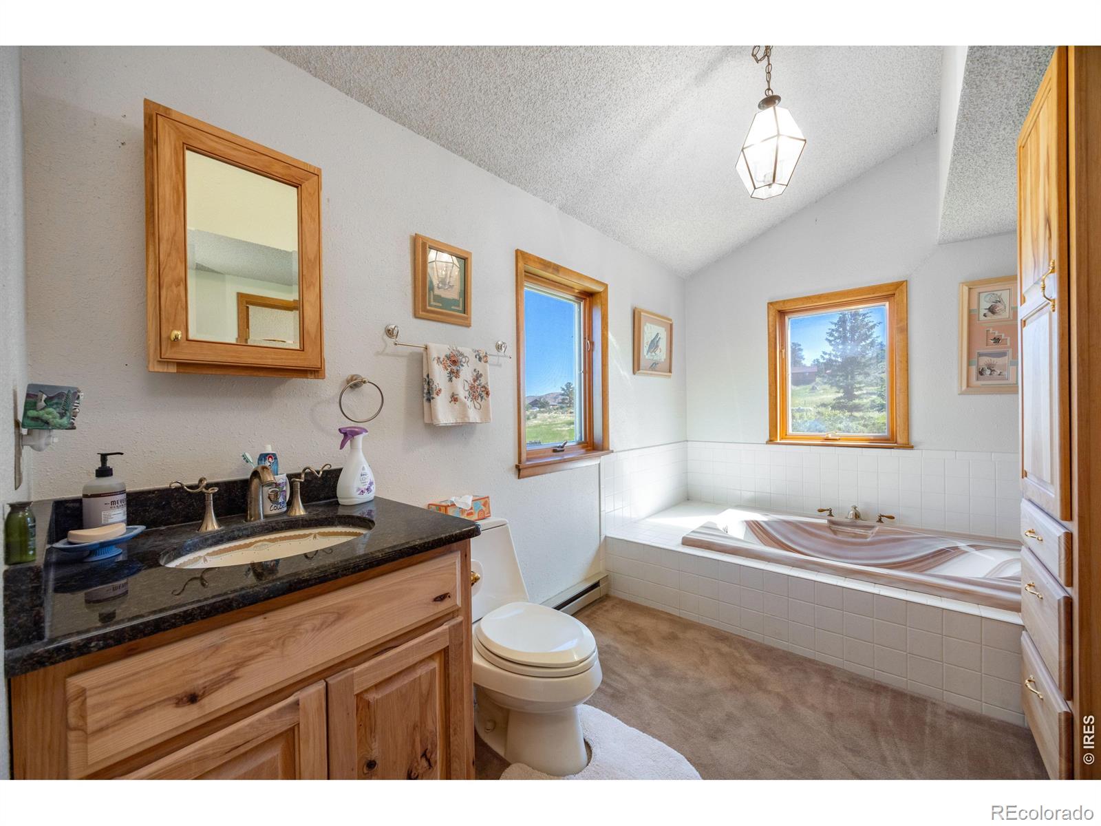 MLS Image #30 for 678  palisade mountain drive,drake, Colorado