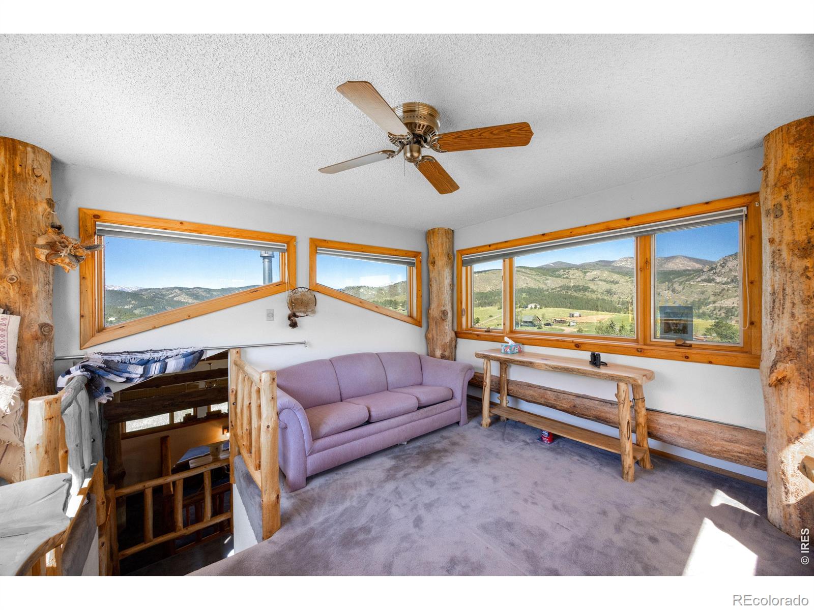 MLS Image #33 for 678  palisade mountain drive,drake, Colorado