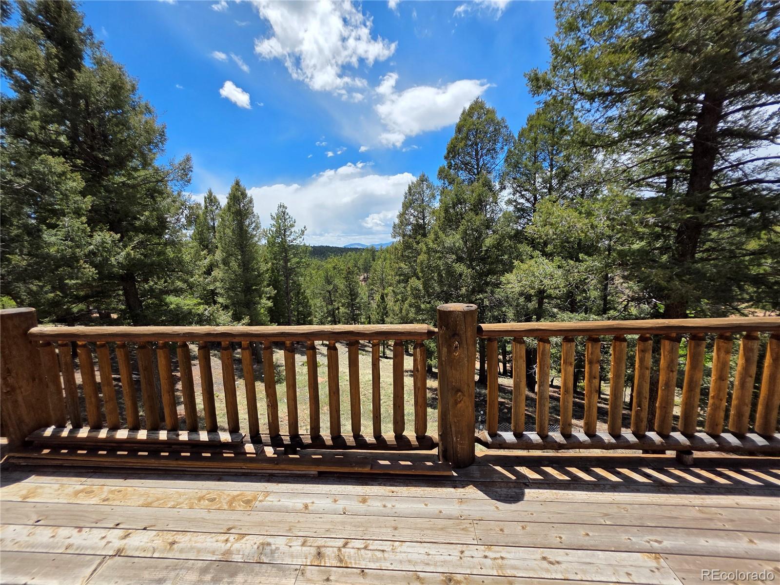 MLS Image #10 for 17  deer lake circle,divide, Colorado