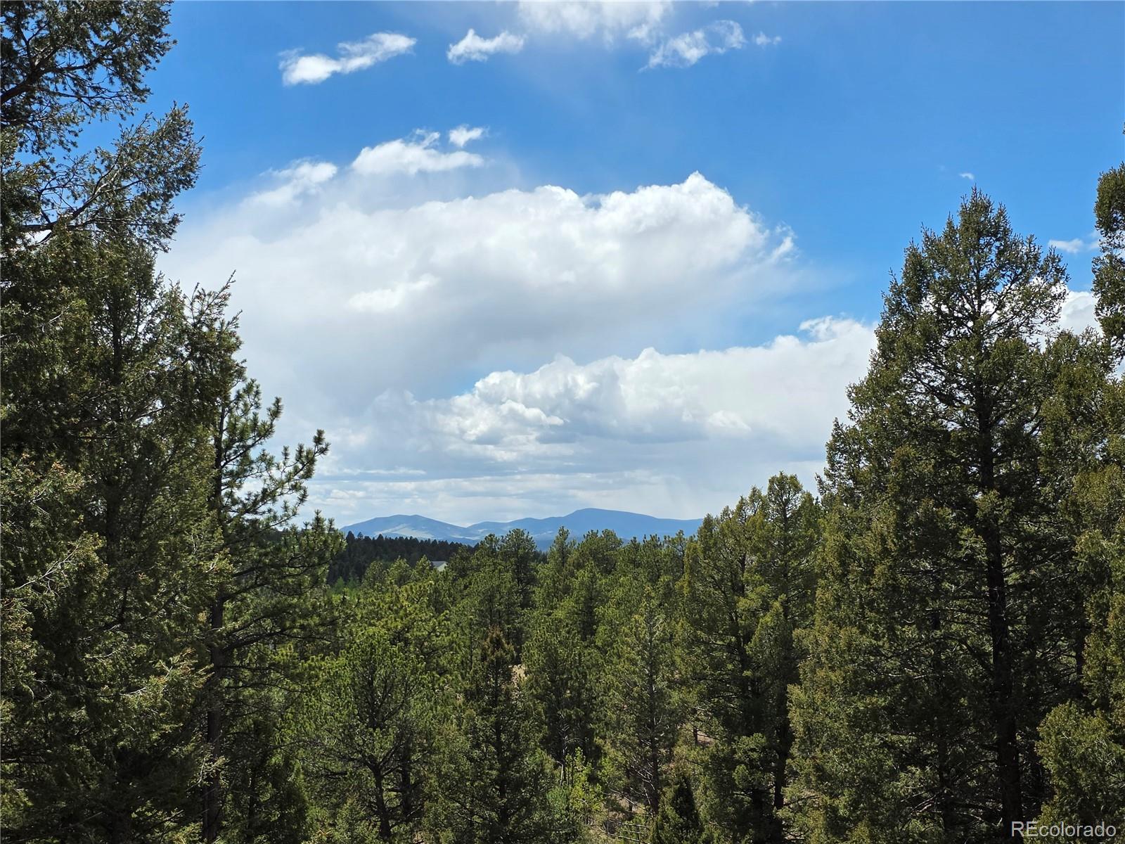 MLS Image #11 for 17  deer lake circle,divide, Colorado
