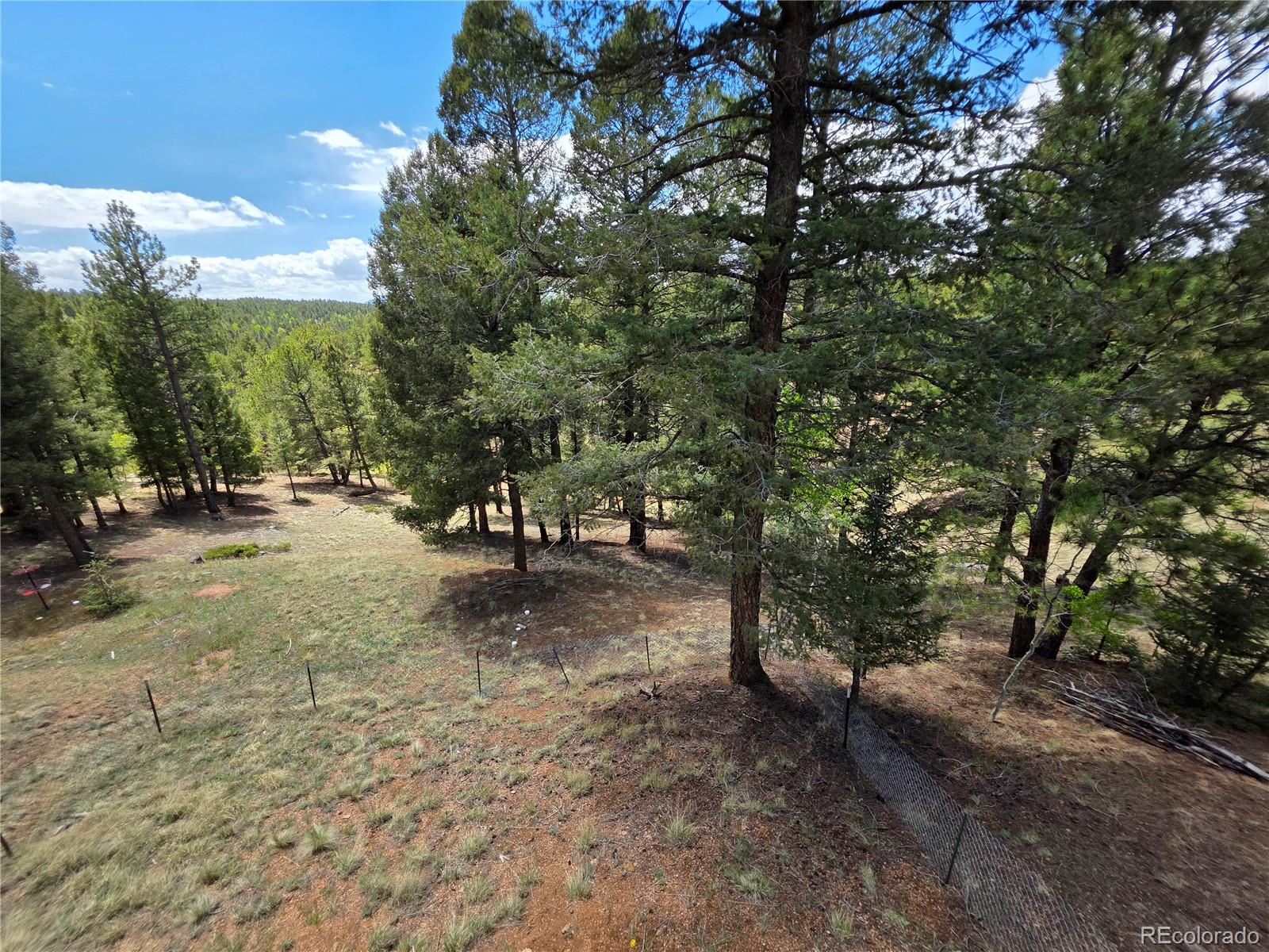 MLS Image #13 for 17  deer lake circle,divide, Colorado