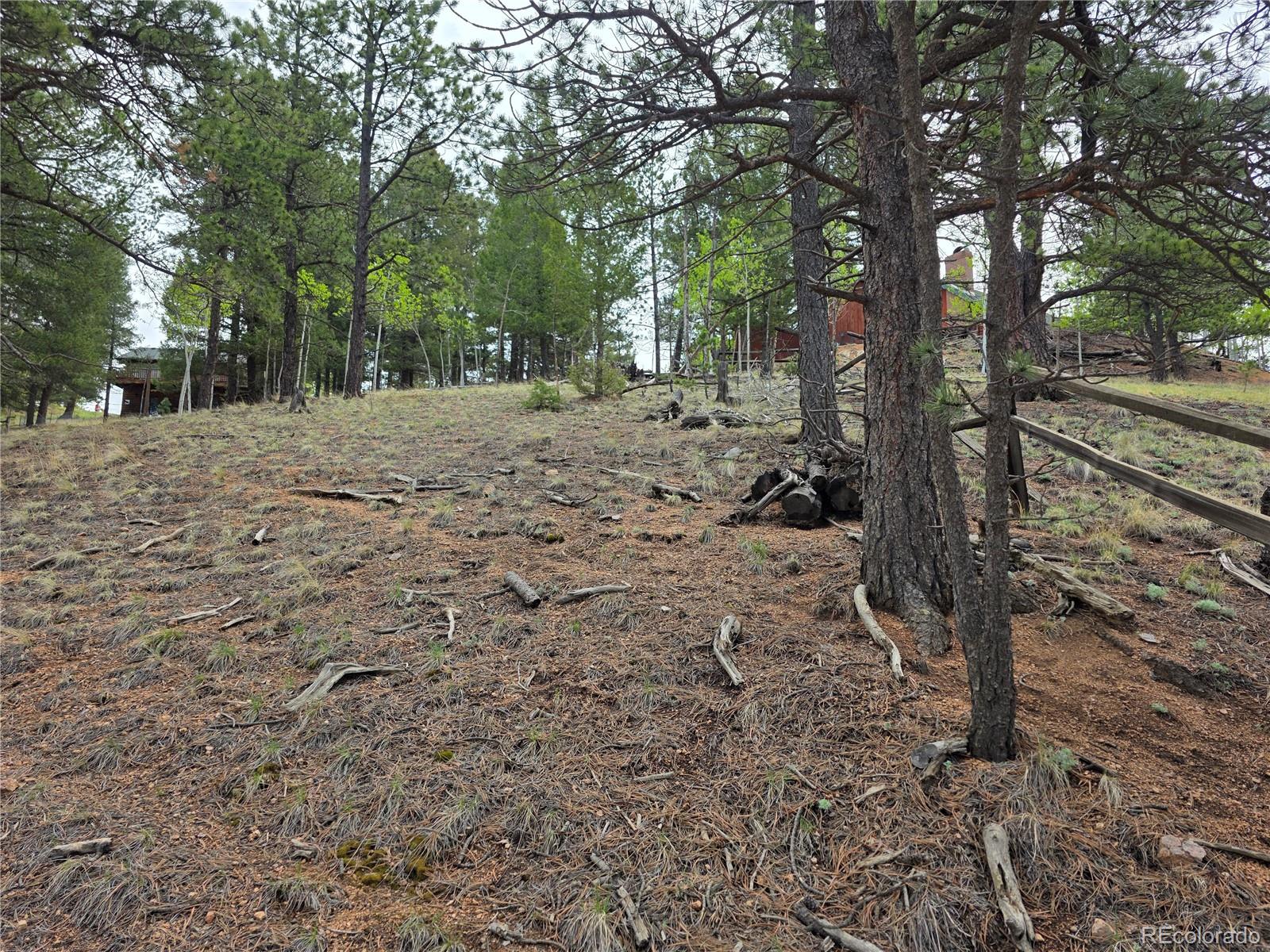 MLS Image #15 for 17  deer lake circle,divide, Colorado