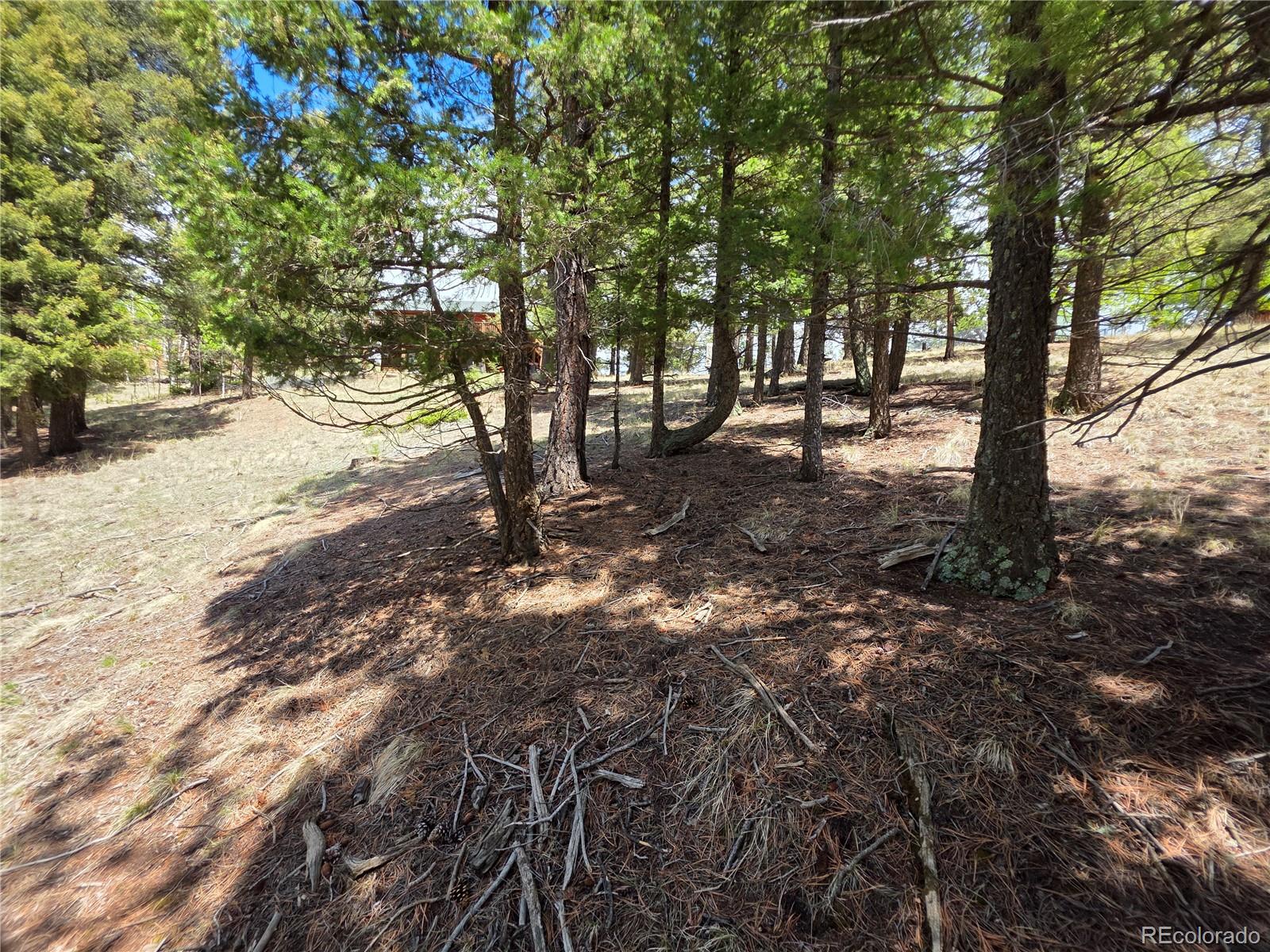 MLS Image #17 for 17  deer lake circle,divide, Colorado