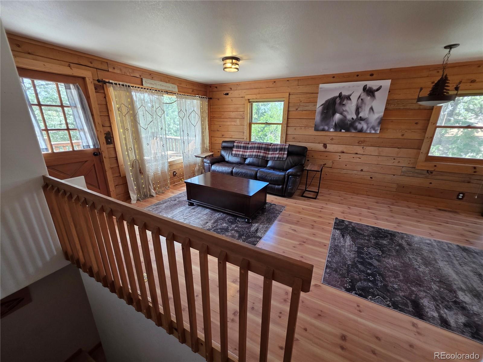 MLS Image #25 for 17  deer lake circle,divide, Colorado