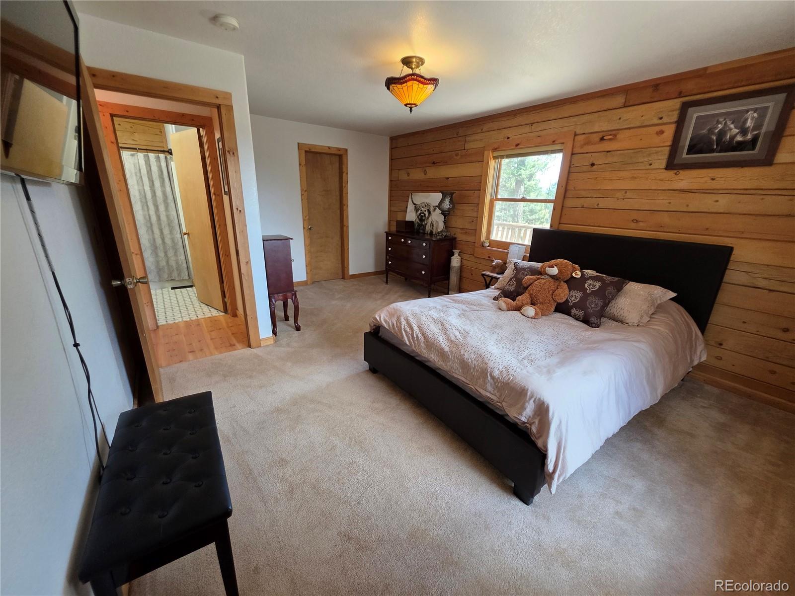 MLS Image #32 for 17  deer lake circle,divide, Colorado