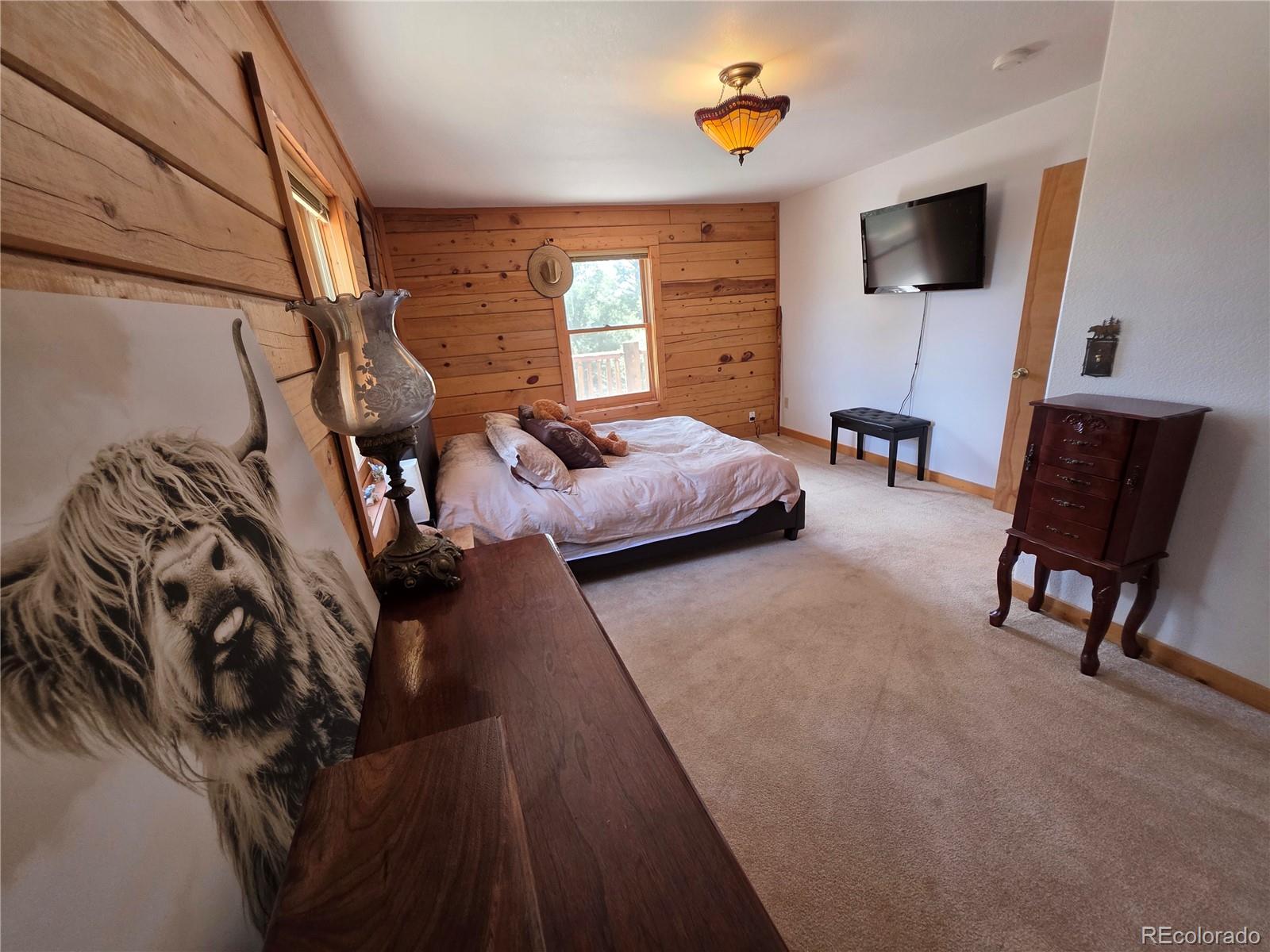 MLS Image #34 for 17  deer lake circle,divide, Colorado