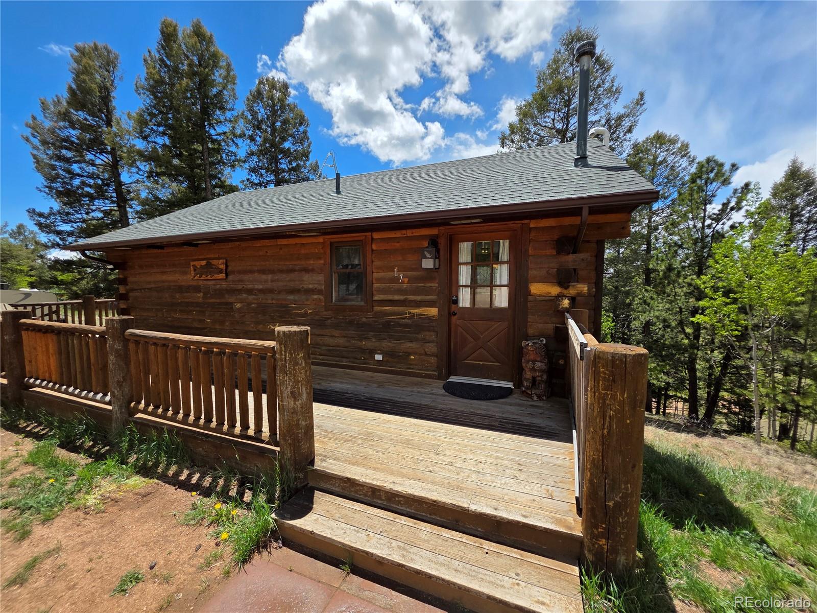 MLS Image #4 for 17  deer lake circle,divide, Colorado
