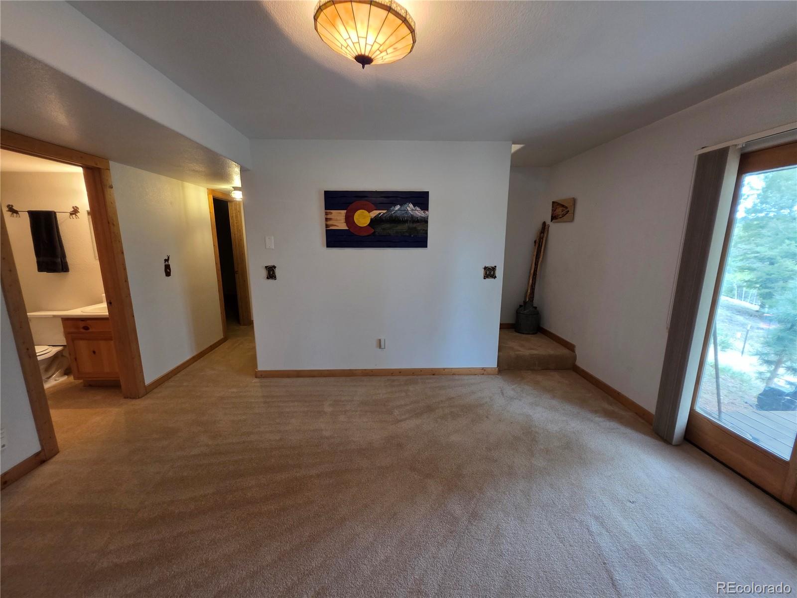 MLS Image #40 for 17  deer lake circle,divide, Colorado
