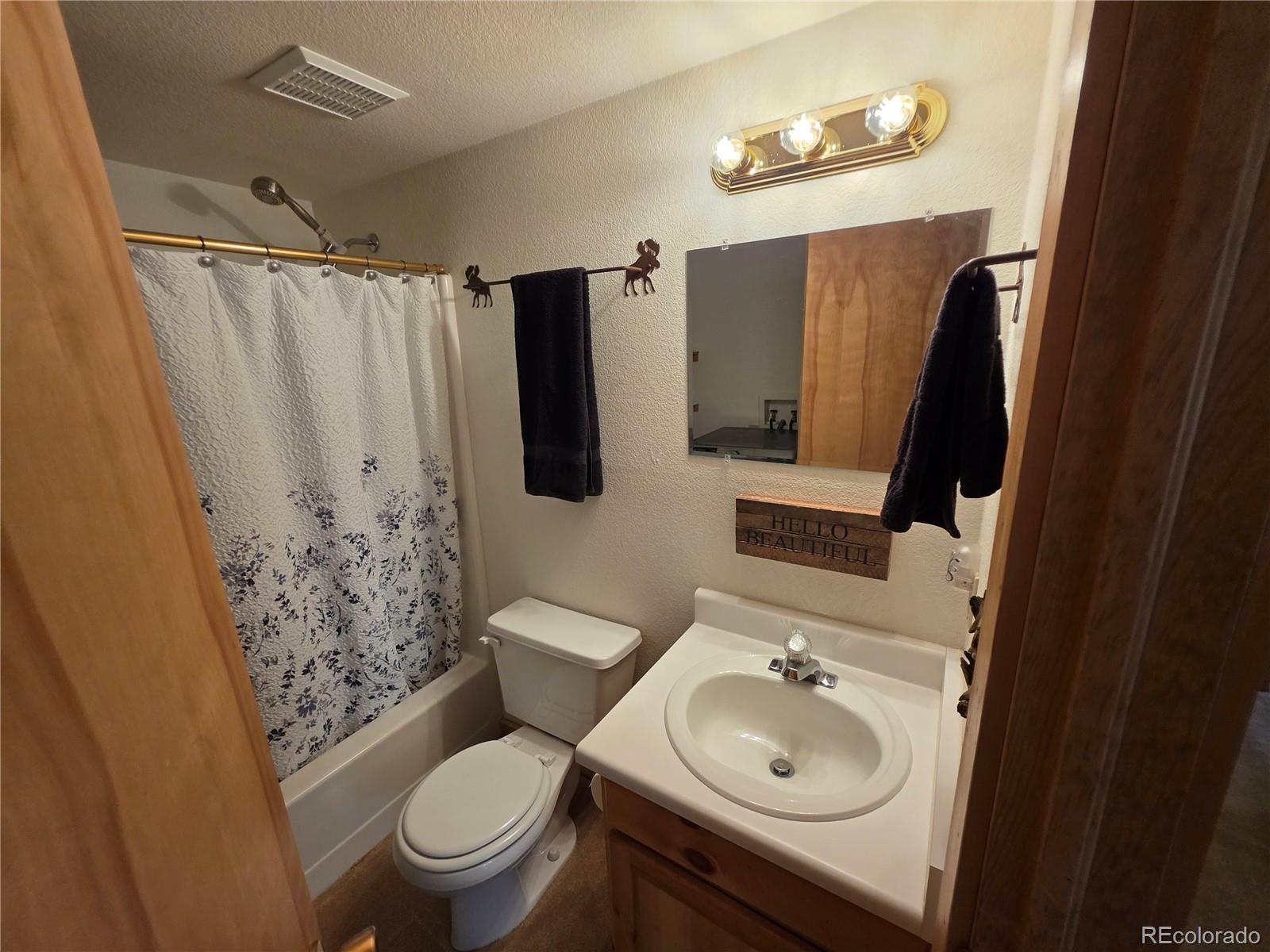 MLS Image #41 for 17  deer lake circle,divide, Colorado