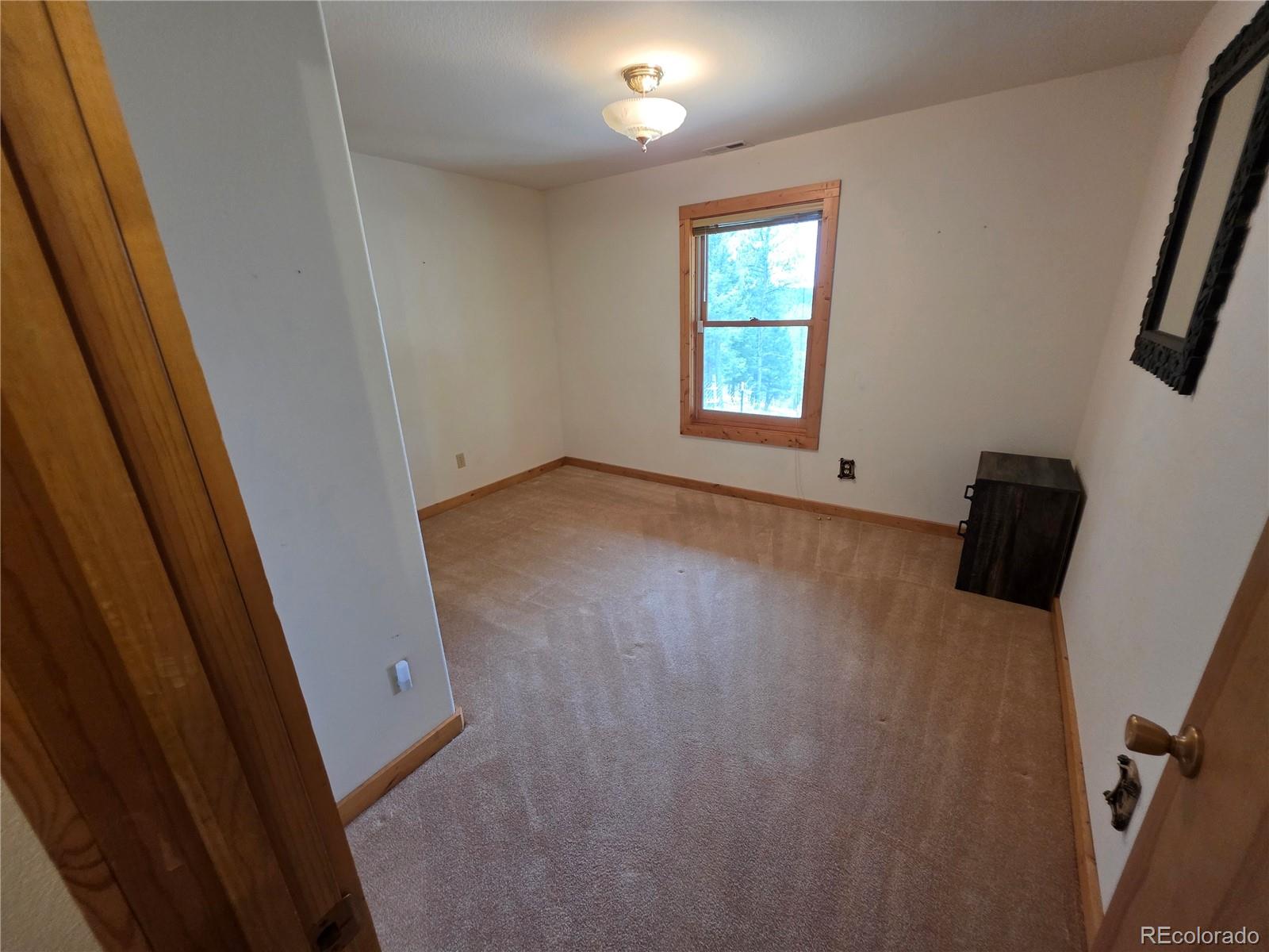 MLS Image #44 for 17  deer lake circle,divide, Colorado