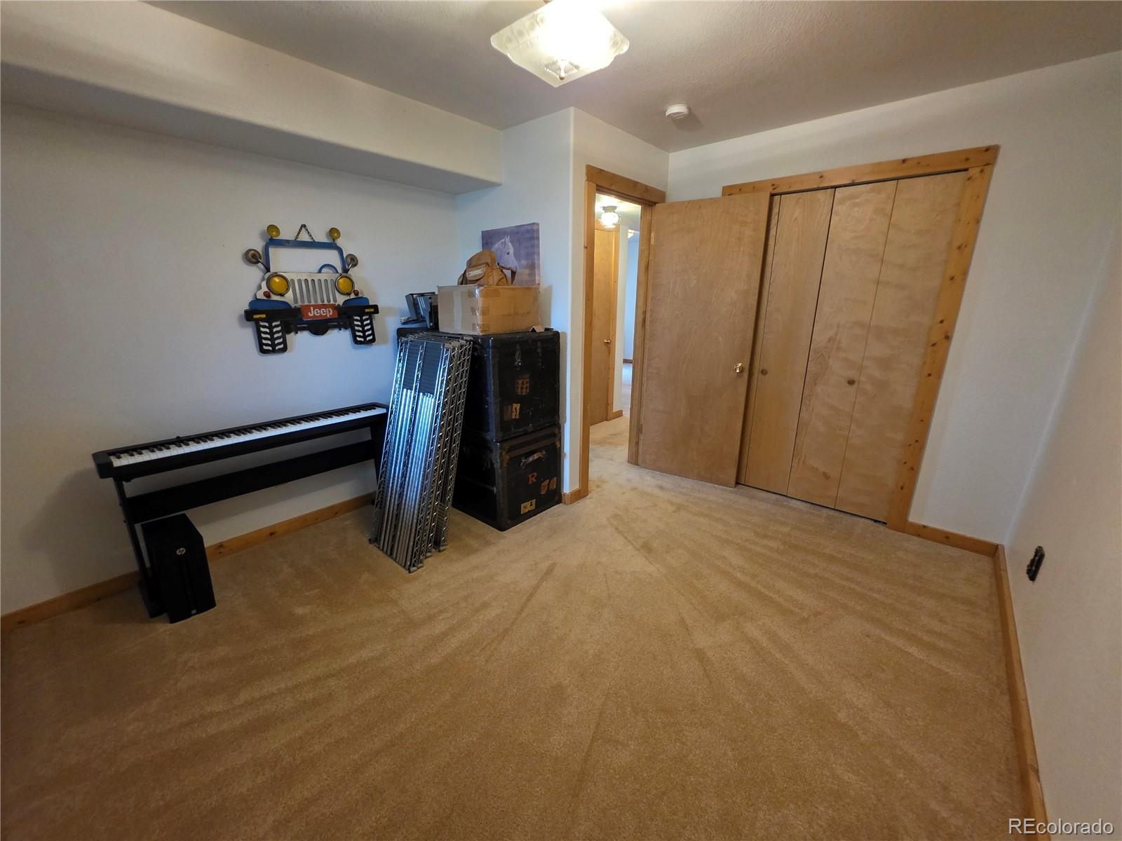 MLS Image #49 for 17  deer lake circle,divide, Colorado
