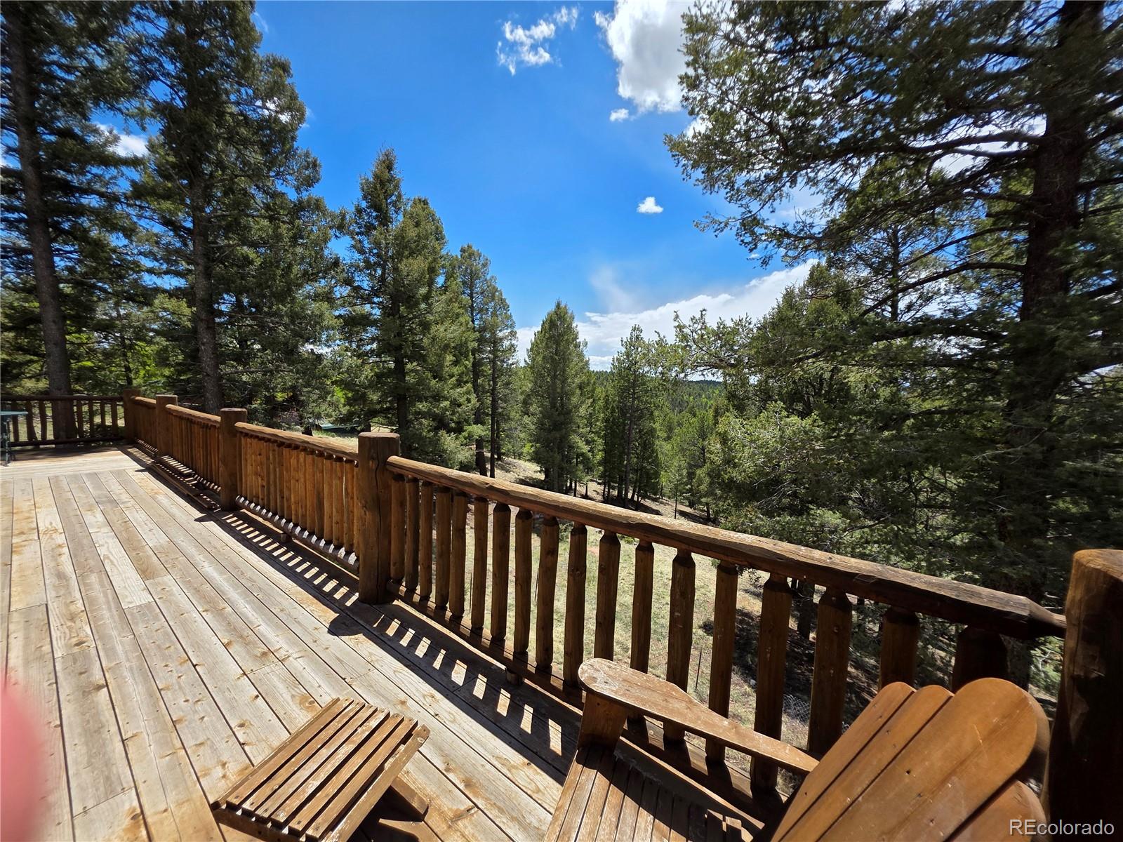 MLS Image #8 for 17  deer lake circle,divide, Colorado