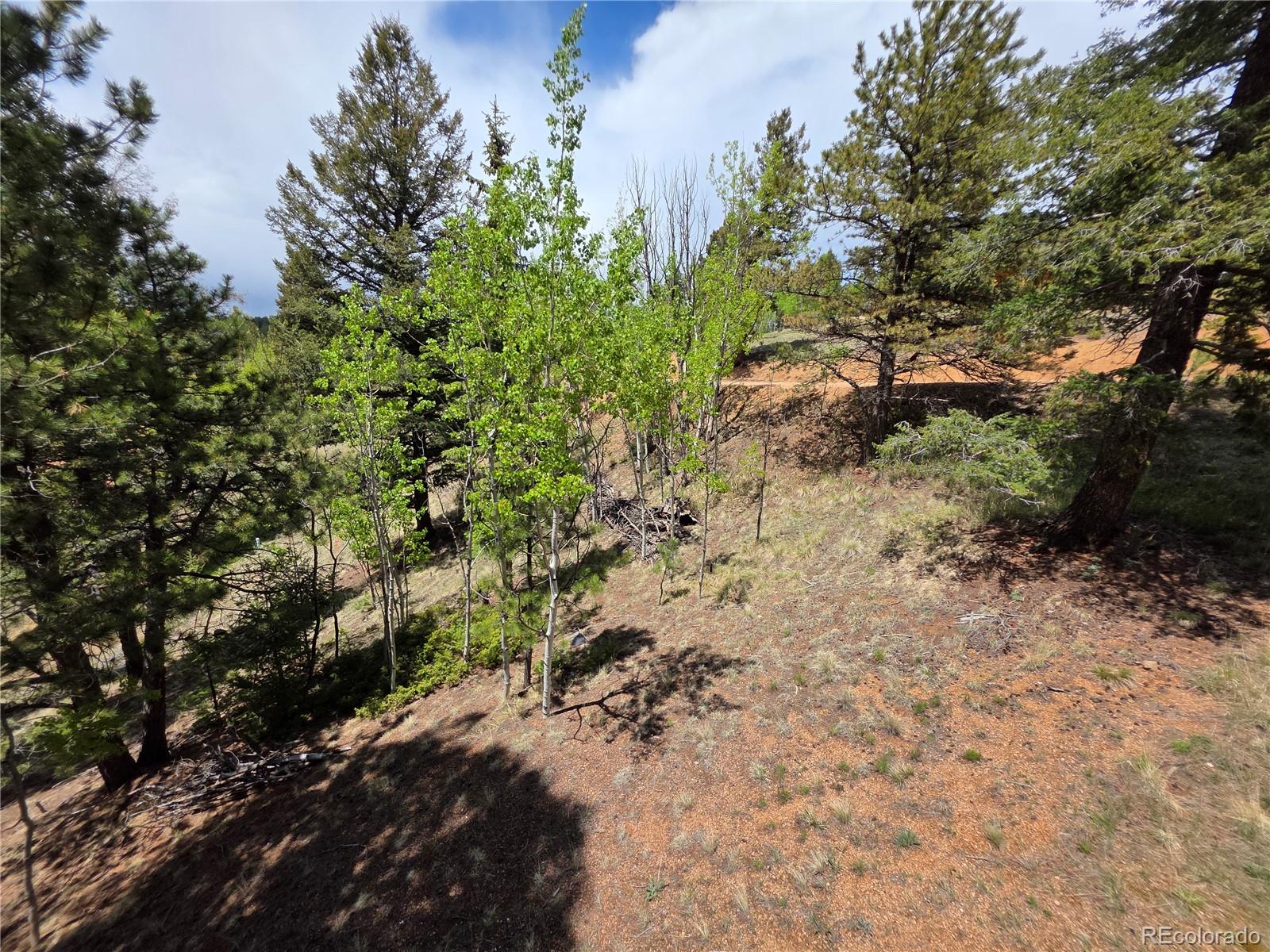 MLS Image #9 for 17  deer lake circle,divide, Colorado