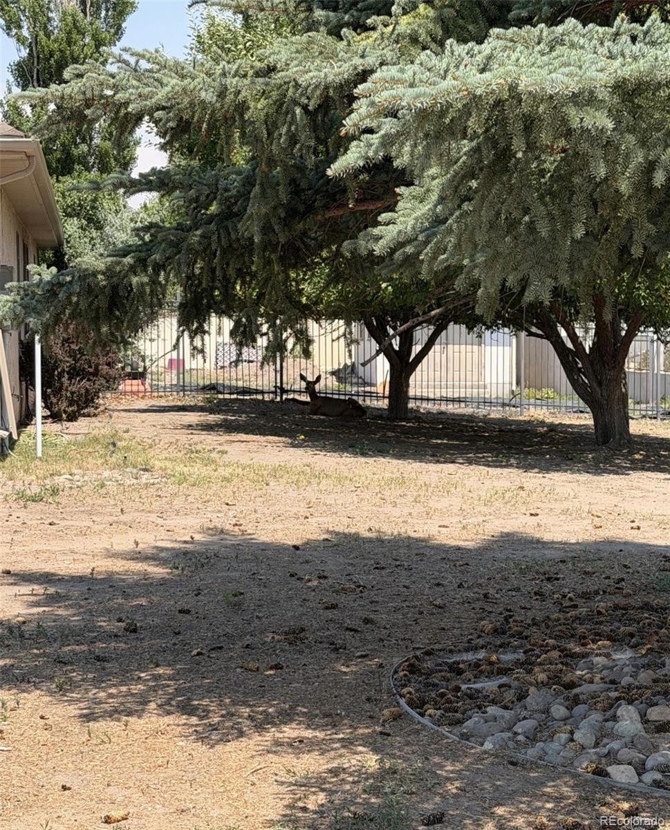 MLS Image #19 for 2  wildwood place,alamosa, Colorado