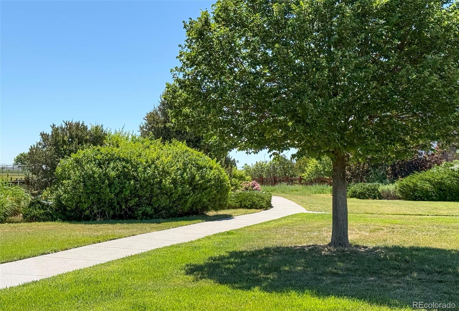 MLS Image #26 for 214 n flat rock street,aurora, Colorado