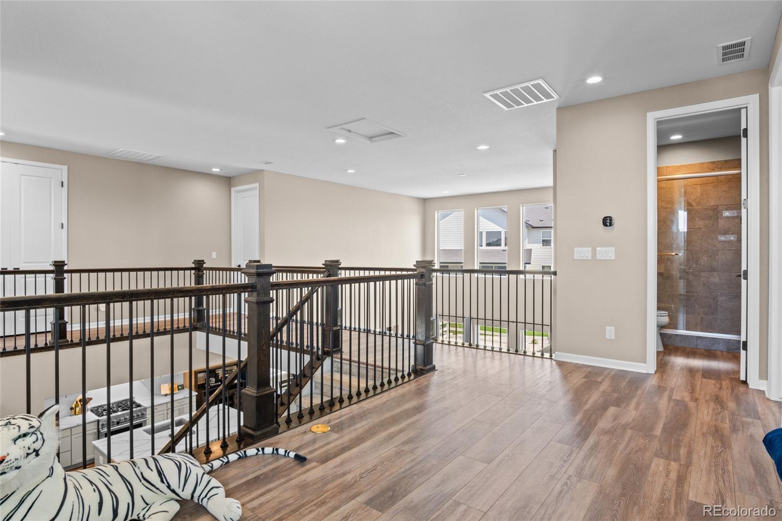 MLS Image #27 for 5909  los olivas point,parker, Colorado