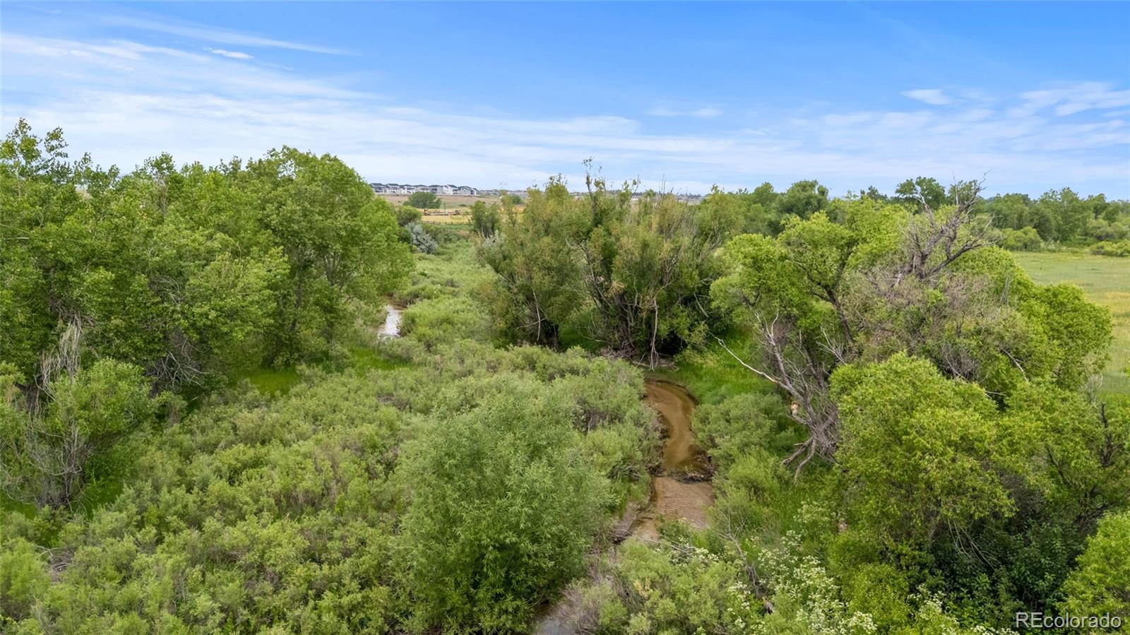 MLS Image #38 for 5909  los olivas point,parker, Colorado