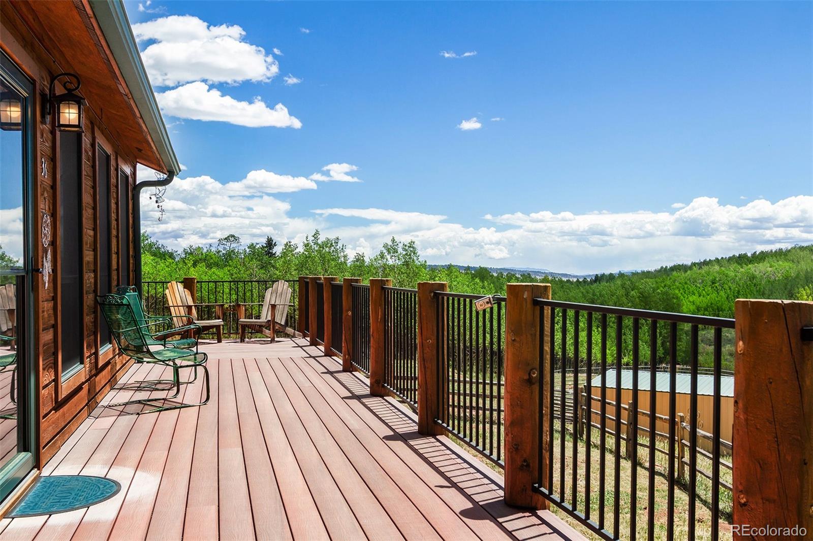 MLS Image #14 for 36  iron mountain road,fairplay, Colorado
