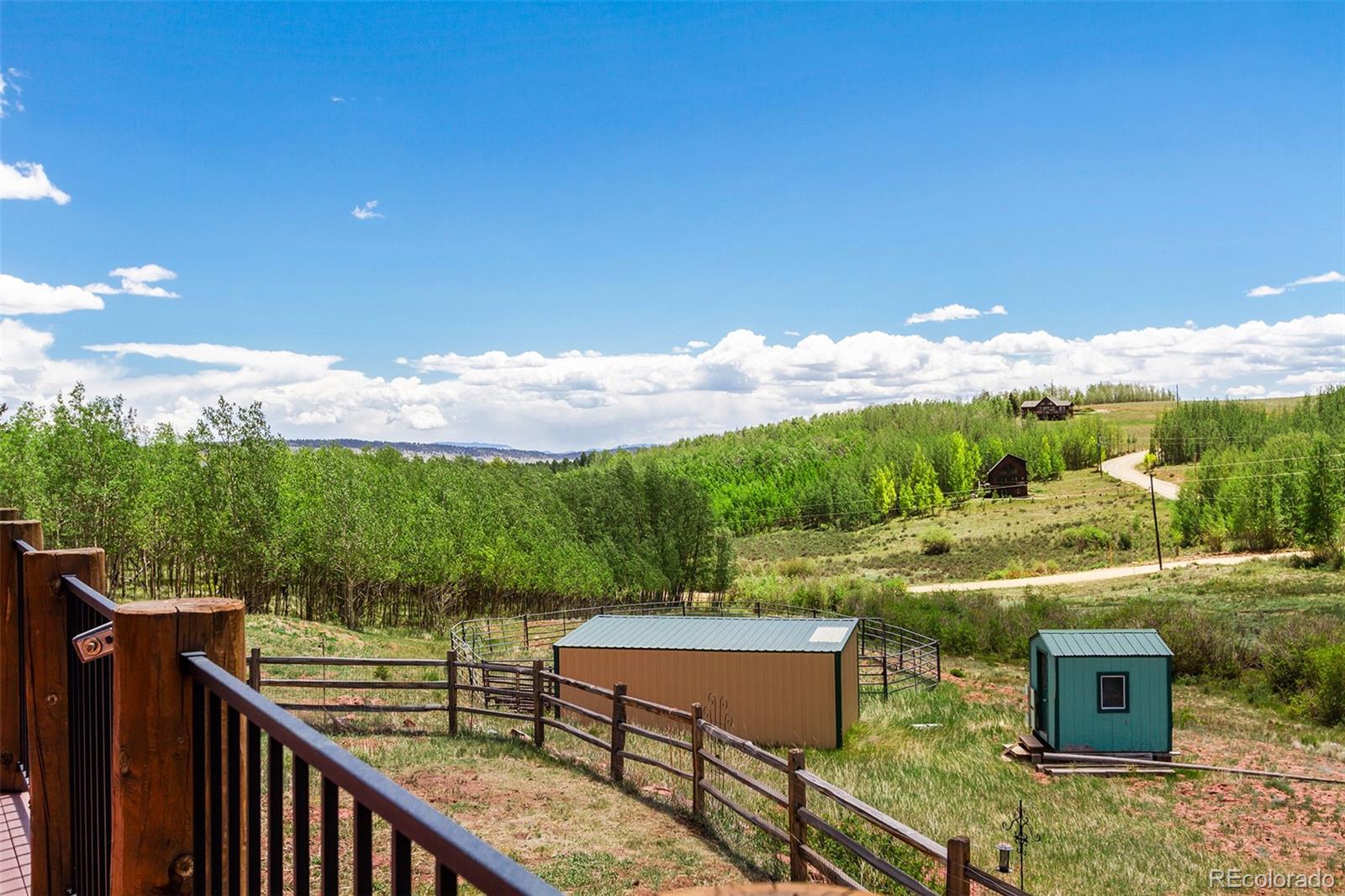 MLS Image #15 for 36  iron mountain road,fairplay, Colorado