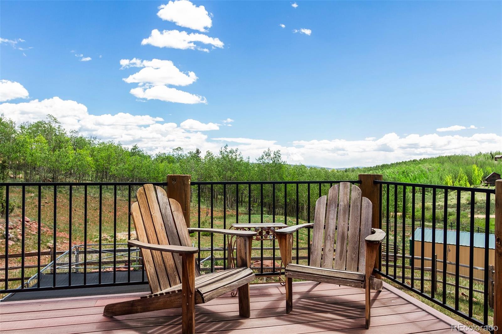MLS Image #16 for 36  iron mountain road,fairplay, Colorado