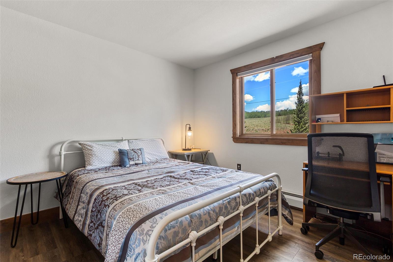 MLS Image #23 for 36  iron mountain road,fairplay, Colorado