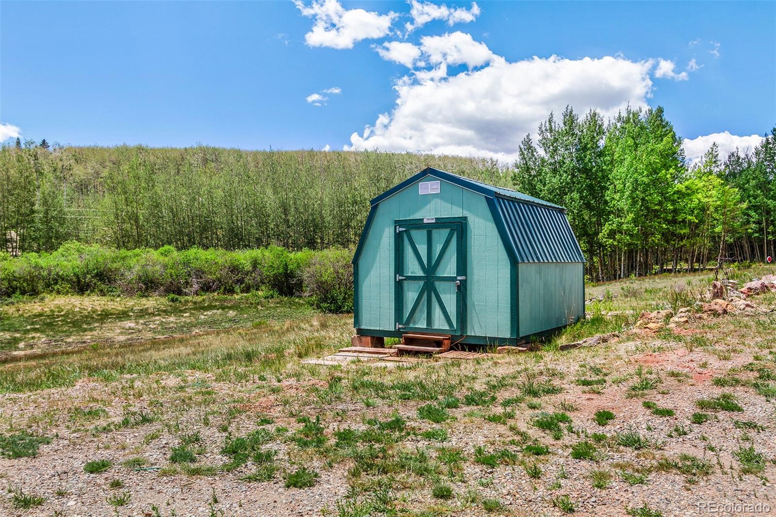 MLS Image #36 for 36  iron mountain road,fairplay, Colorado