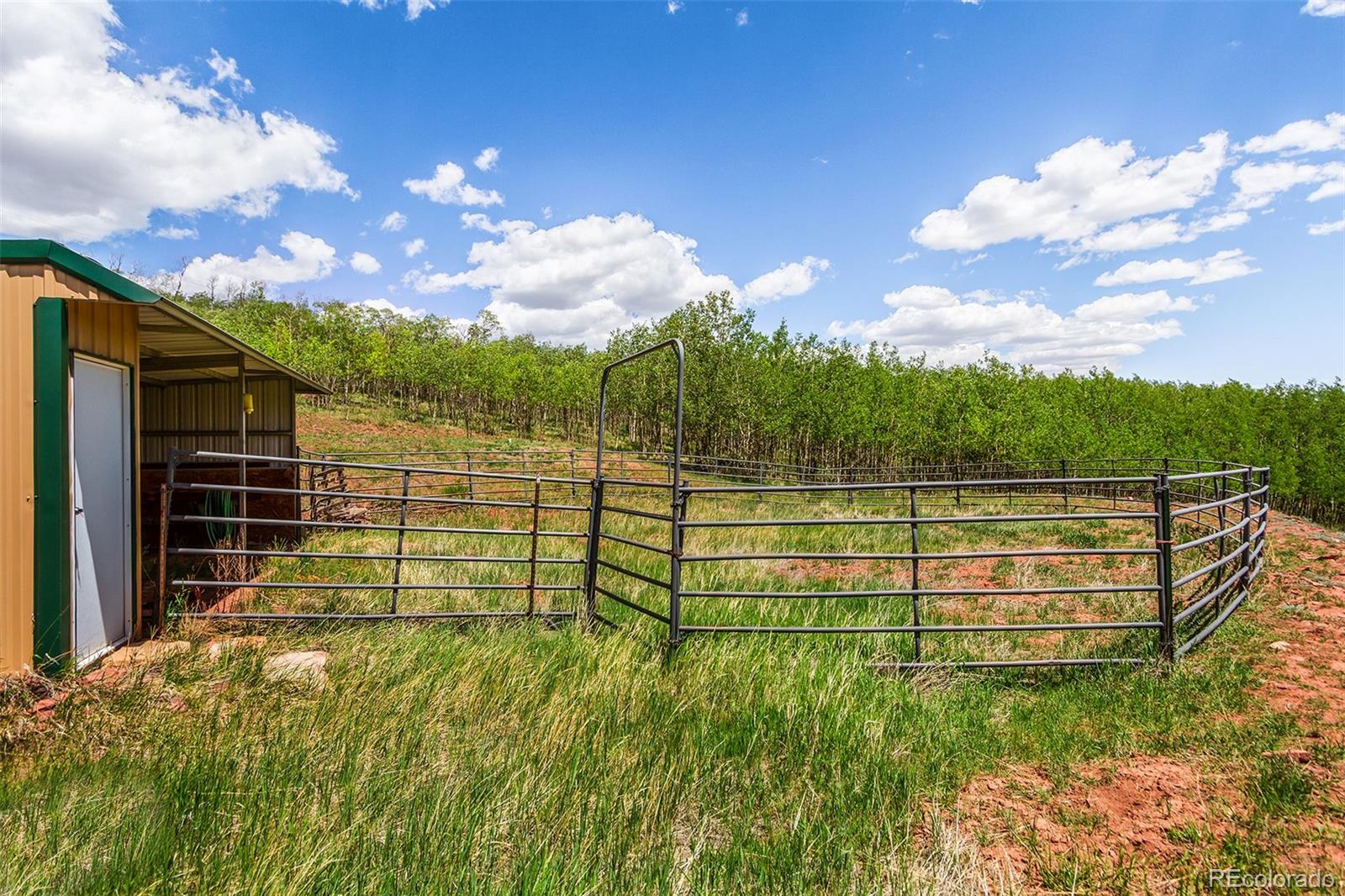 MLS Image #40 for 36  iron mountain road,fairplay, Colorado