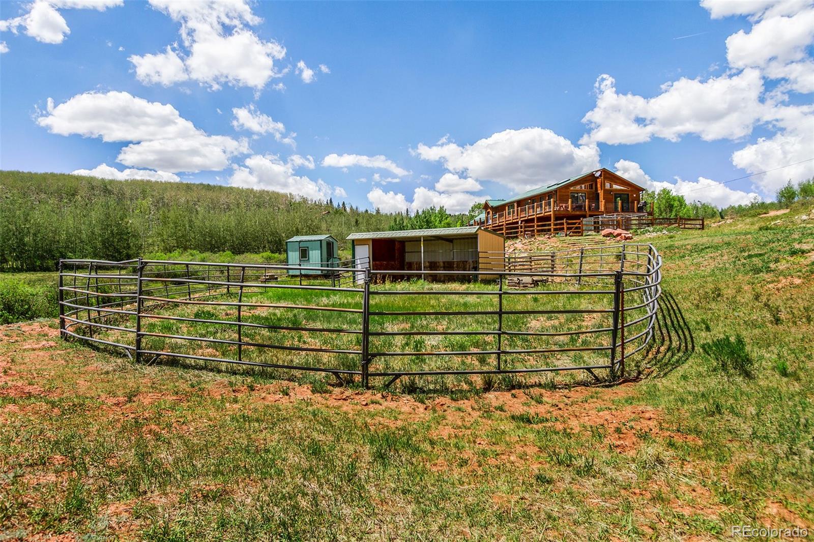 MLS Image #41 for 36  iron mountain road,fairplay, Colorado