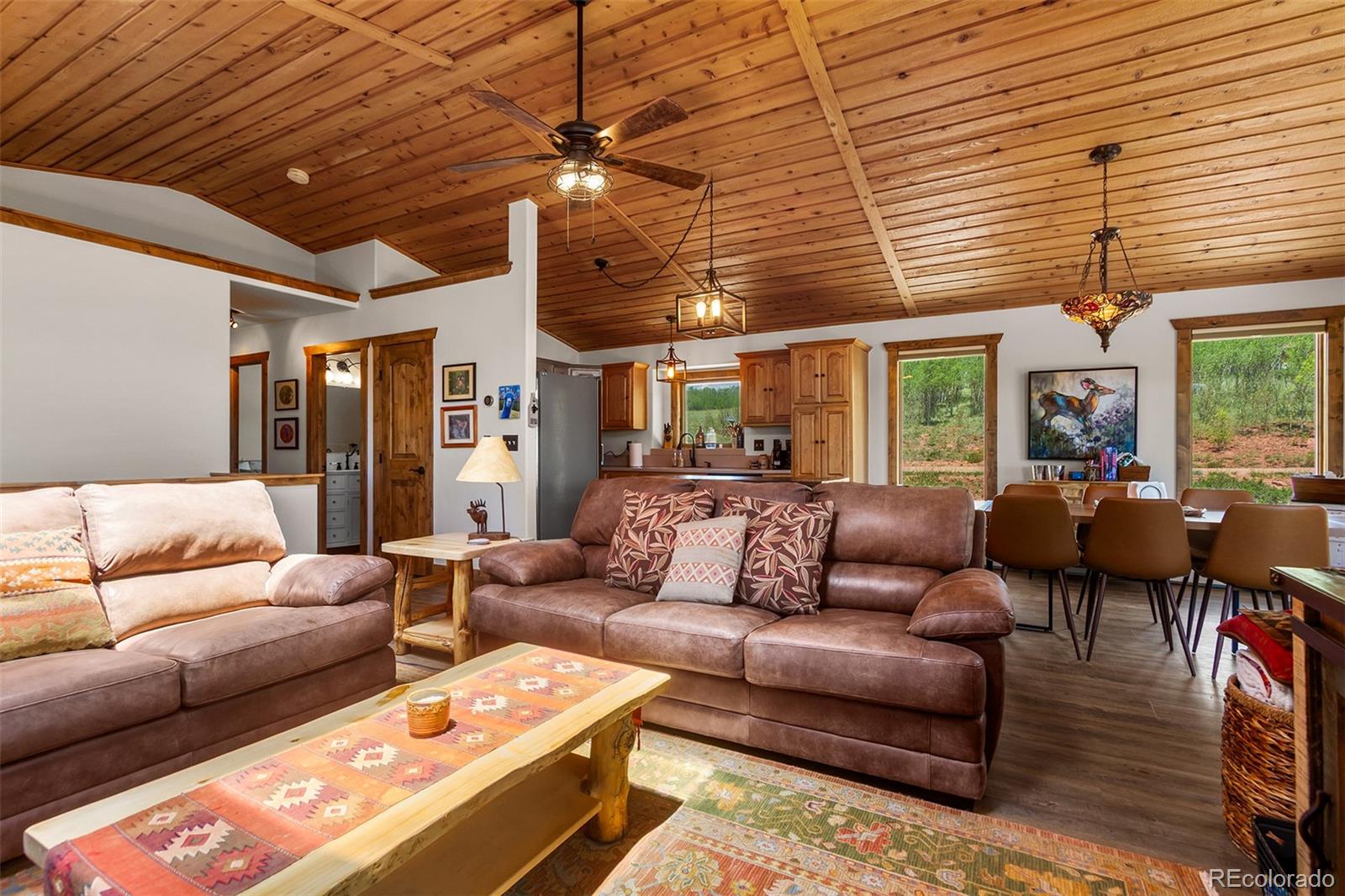 MLS Image #9 for 36  iron mountain road,fairplay, Colorado