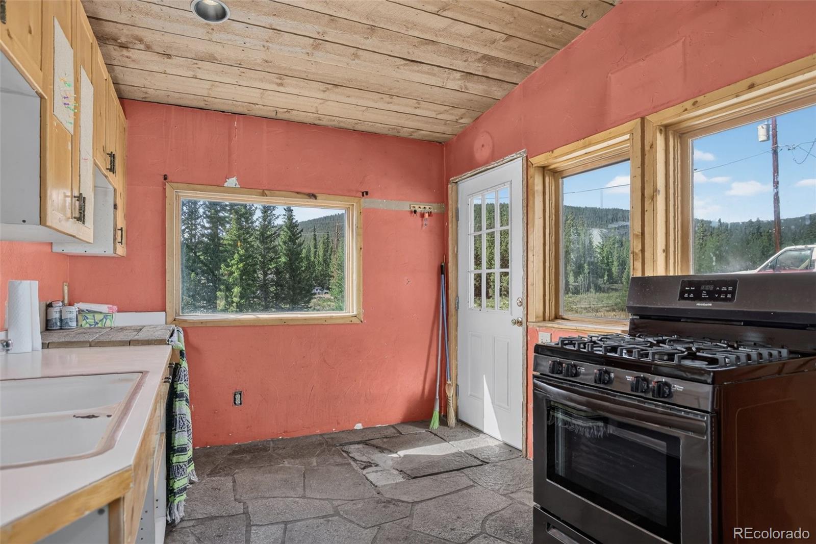 MLS Image #13 for 2546  cr-12 ,alma, Colorado