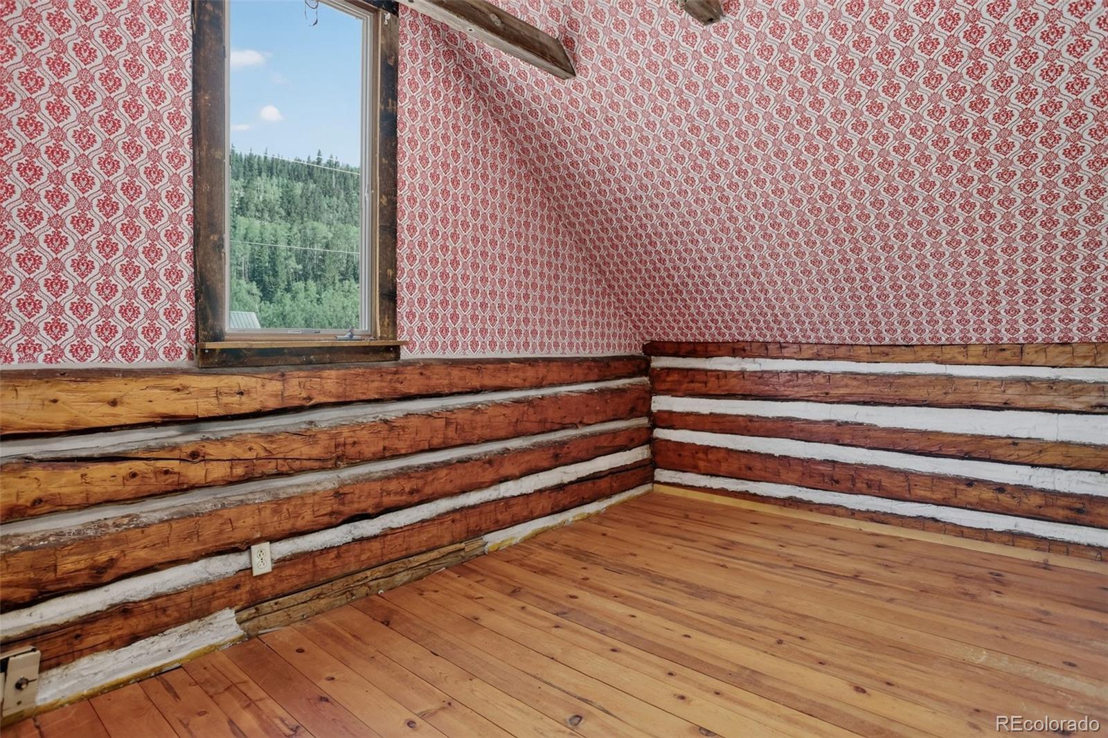 MLS Image #19 for 2546  cr-12 ,alma, Colorado