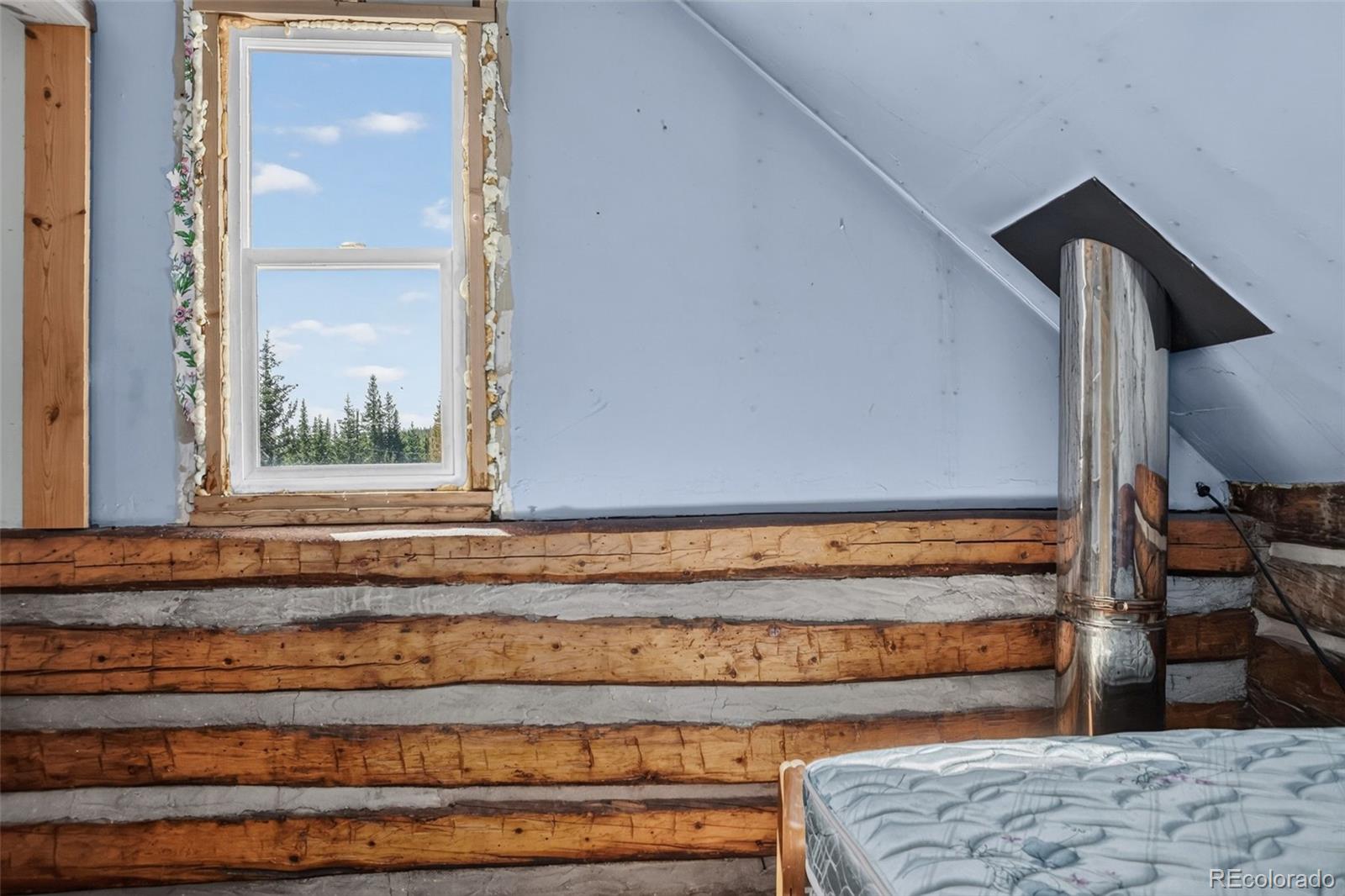 MLS Image #21 for 2546  cr-12 ,alma, Colorado