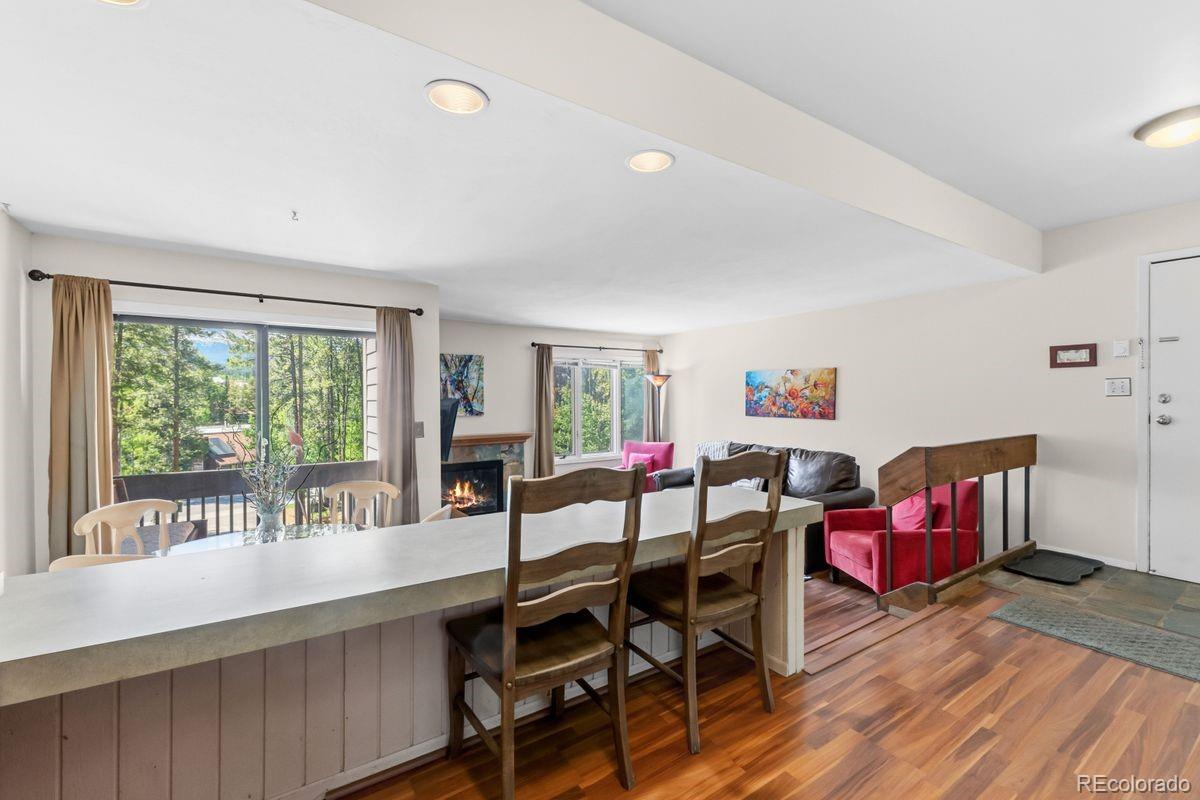 MLS Image #14 for 246  broken lance dr ,breckenridge, Colorado