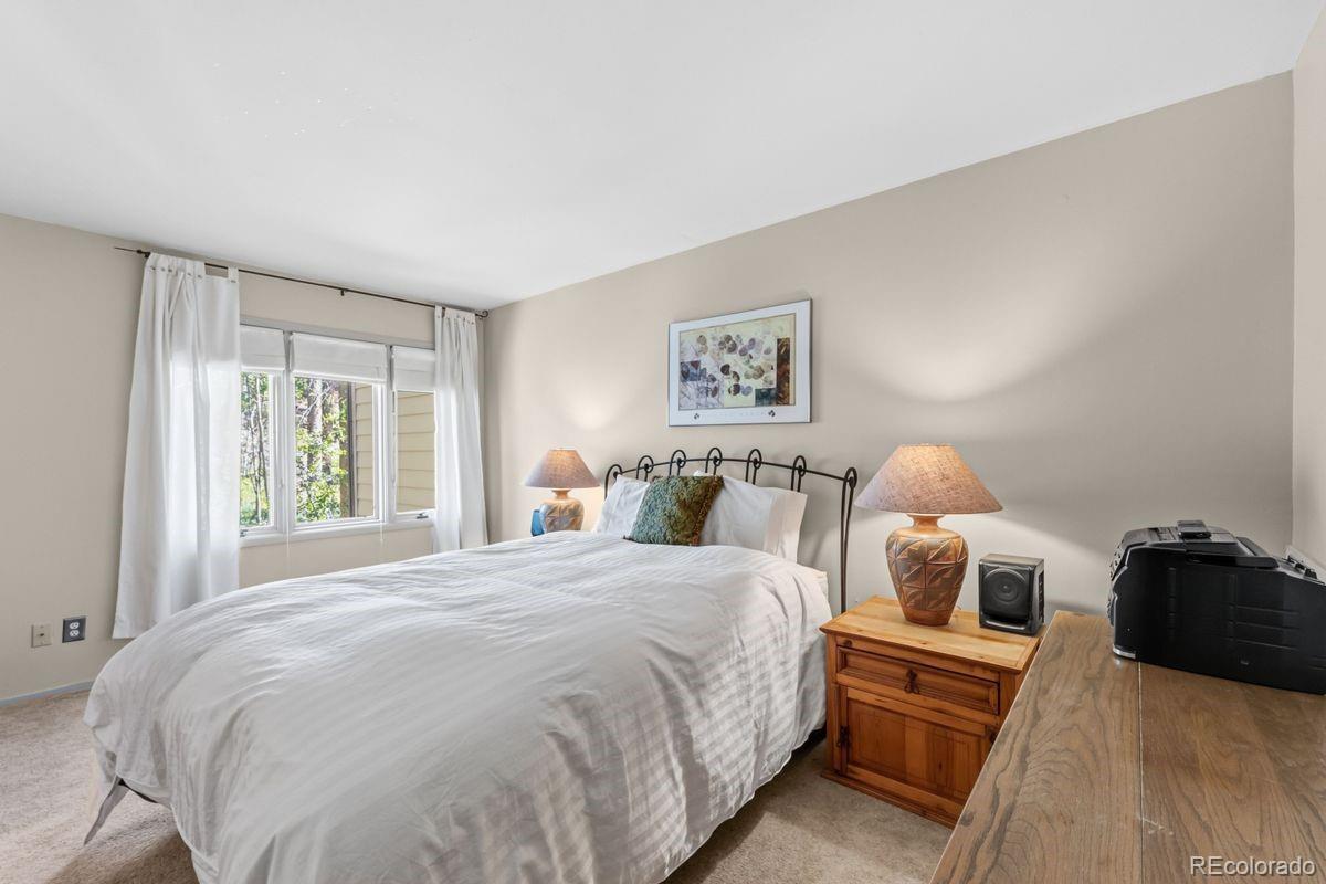 MLS Image #19 for 246  broken lance dr ,breckenridge, Colorado