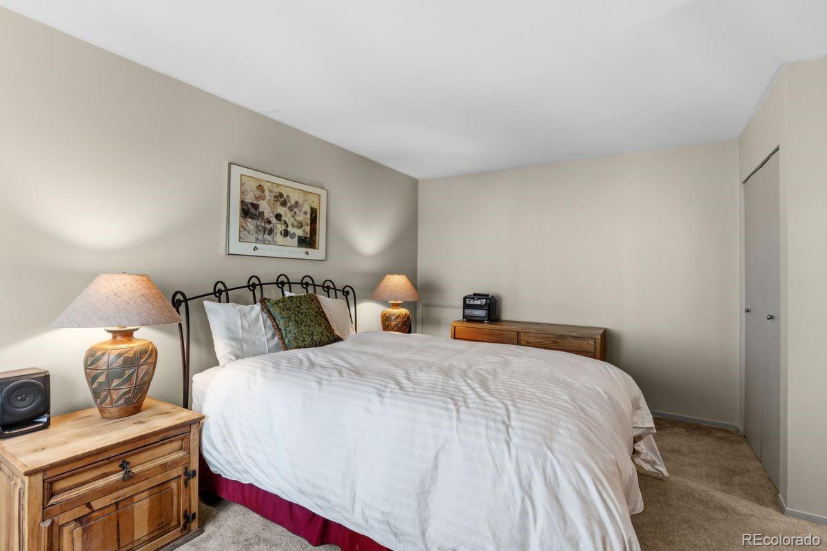 MLS Image #20 for 246  broken lance dr ,breckenridge, Colorado