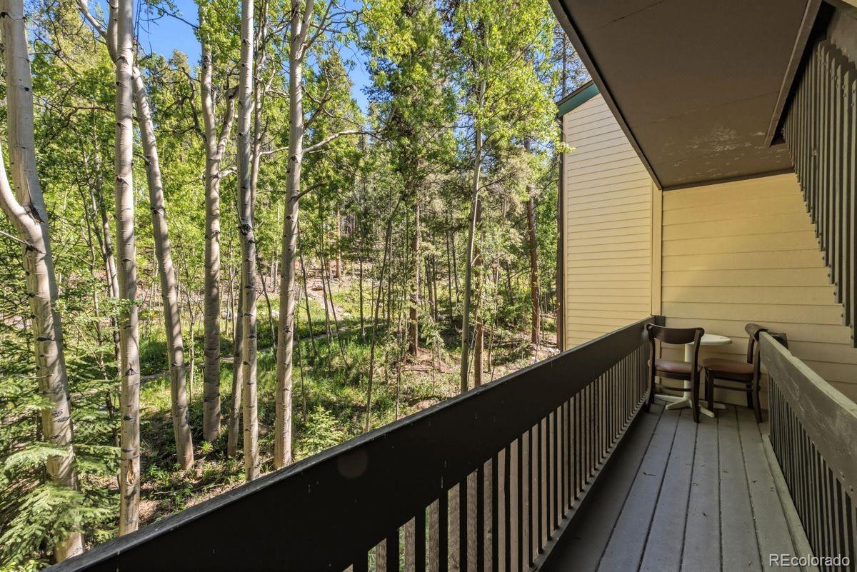 MLS Image #25 for 246  broken lance dr ,breckenridge, Colorado