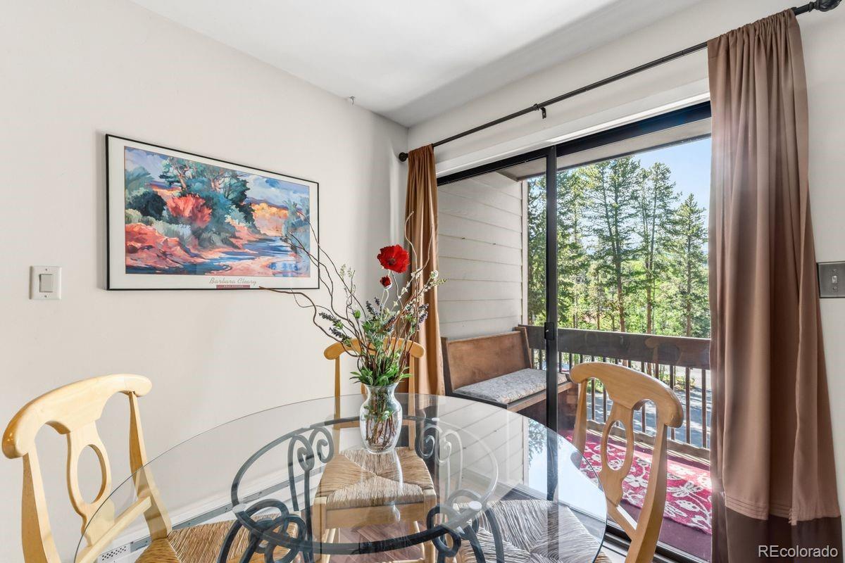 MLS Image #4 for 246  broken lance dr ,breckenridge, Colorado