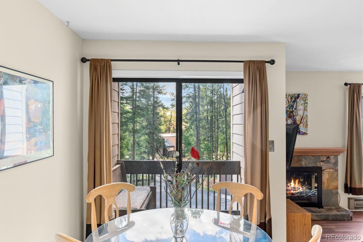MLS Image #5 for 246  broken lance dr ,breckenridge, Colorado