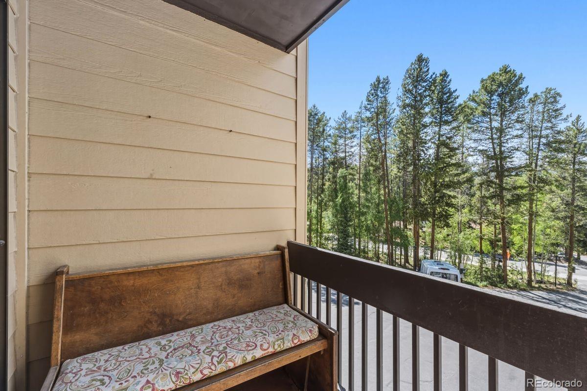 MLS Image #6 for 246  broken lance dr ,breckenridge, Colorado