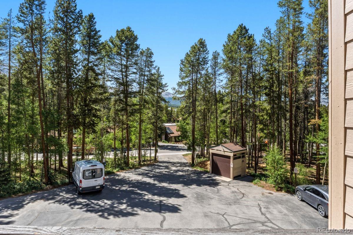 MLS Image #7 for 246  broken lance dr ,breckenridge, Colorado