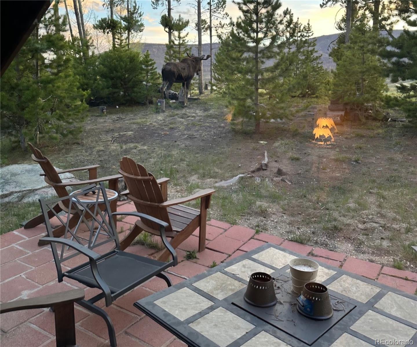 MLS Image #2 for 240  gcr 4980 ,grand lake, Colorado