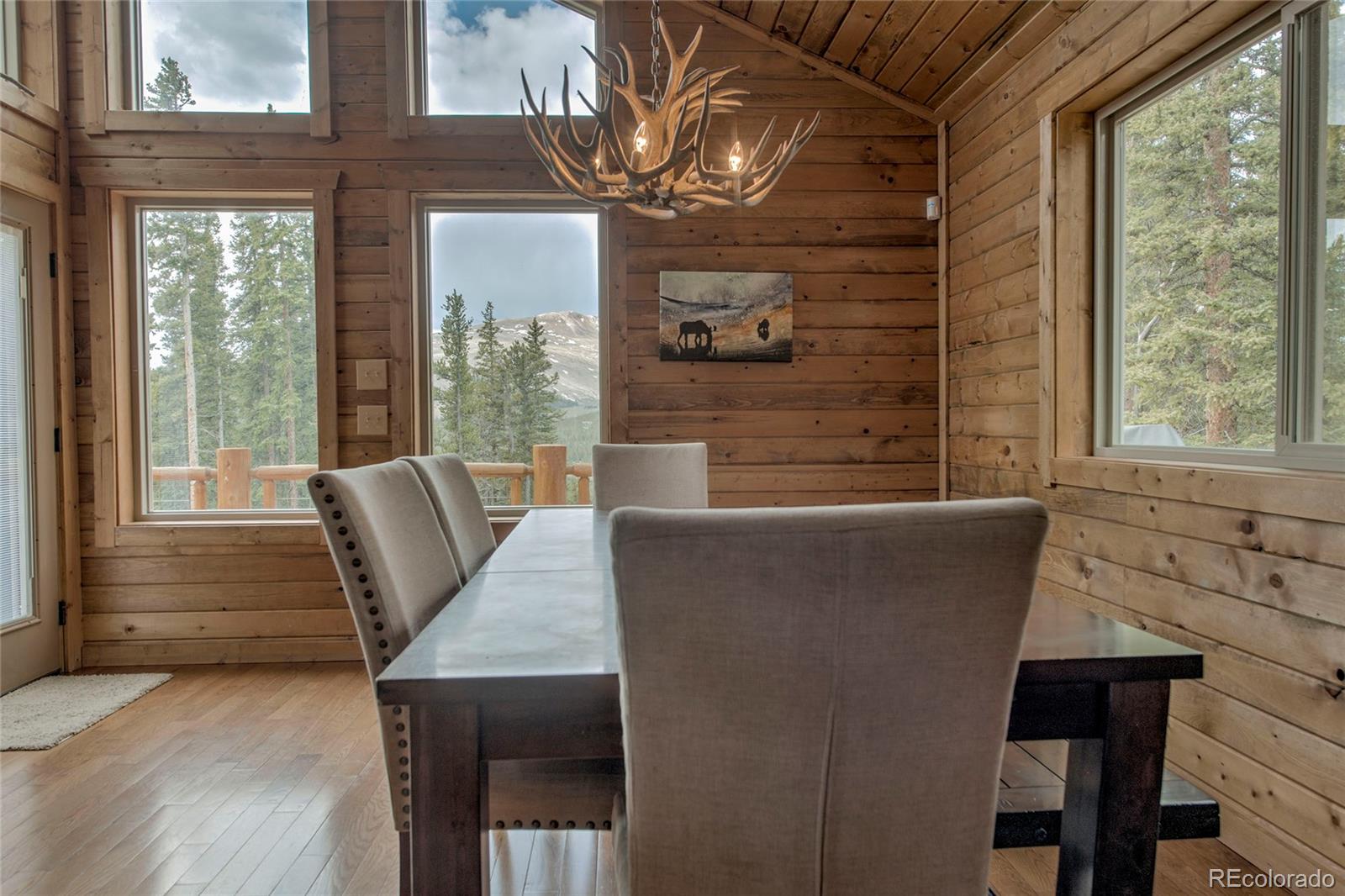 MLS Image #11 for 790  mountain view drive,fairplay, Colorado