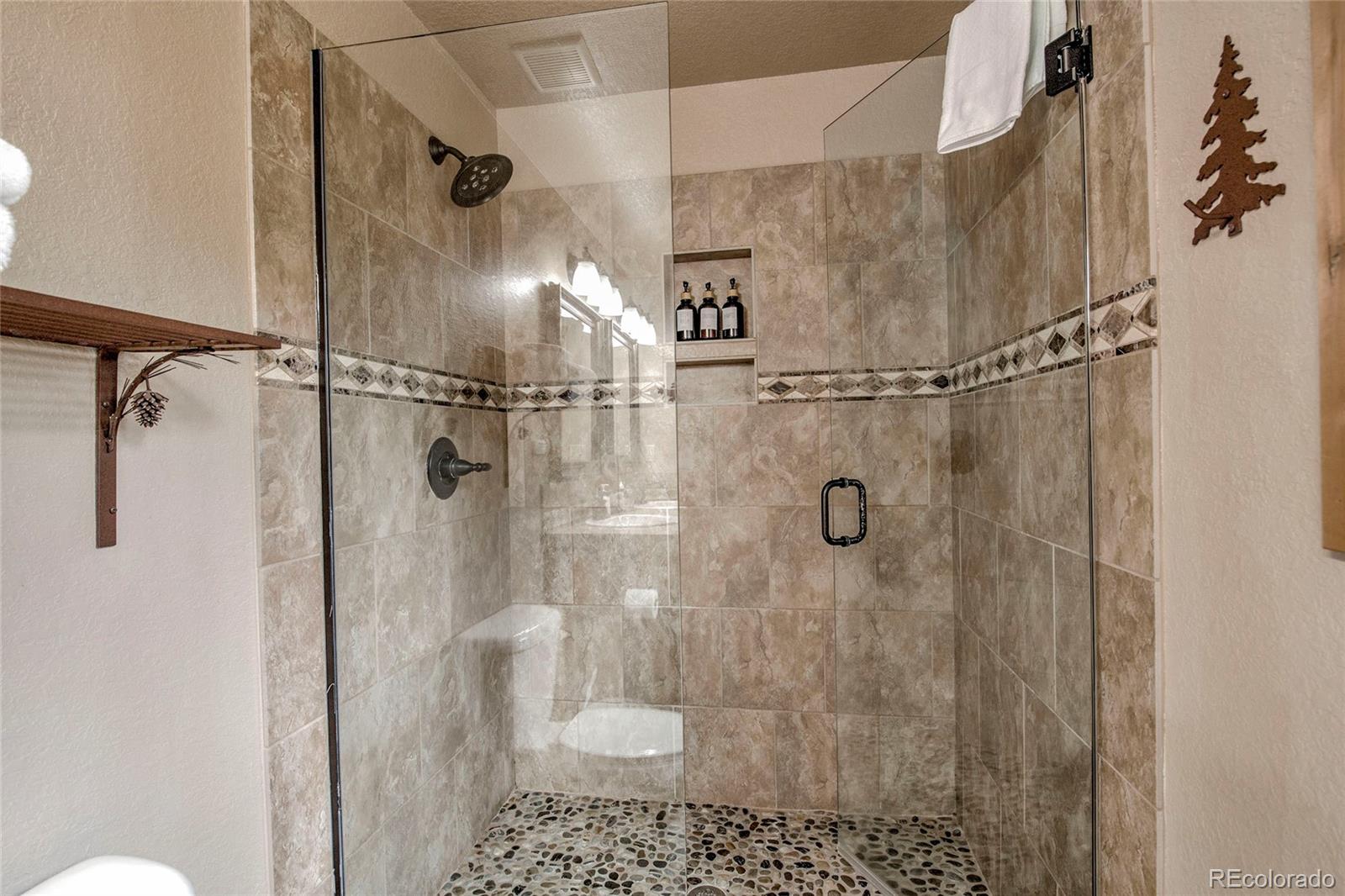 MLS Image #22 for 790  mountain view drive,fairplay, Colorado