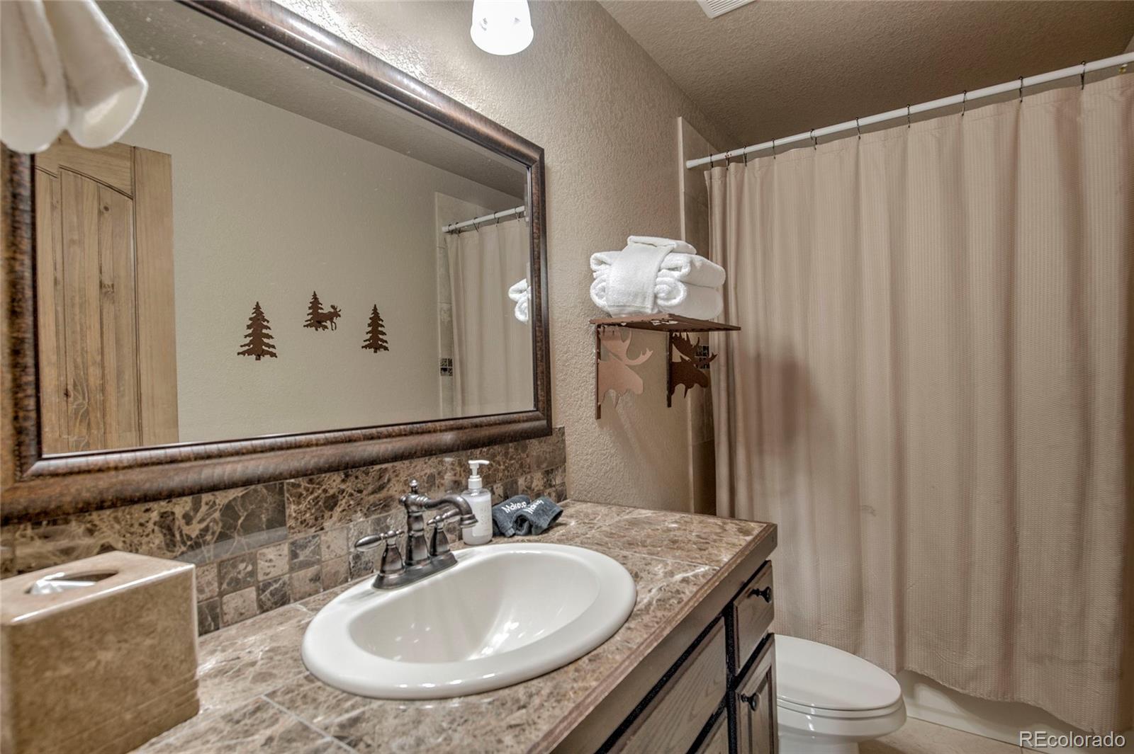 MLS Image #25 for 790  mountain view drive,fairplay, Colorado